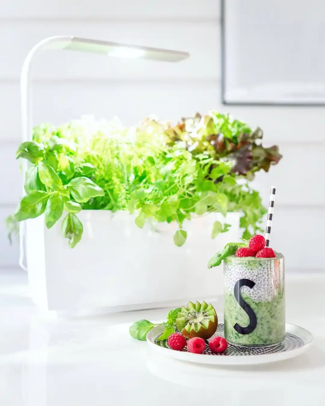 Transform Your Tiny Kitchen with 12 Creative Herb Garden Ideas 14 Automated Smart Gardens