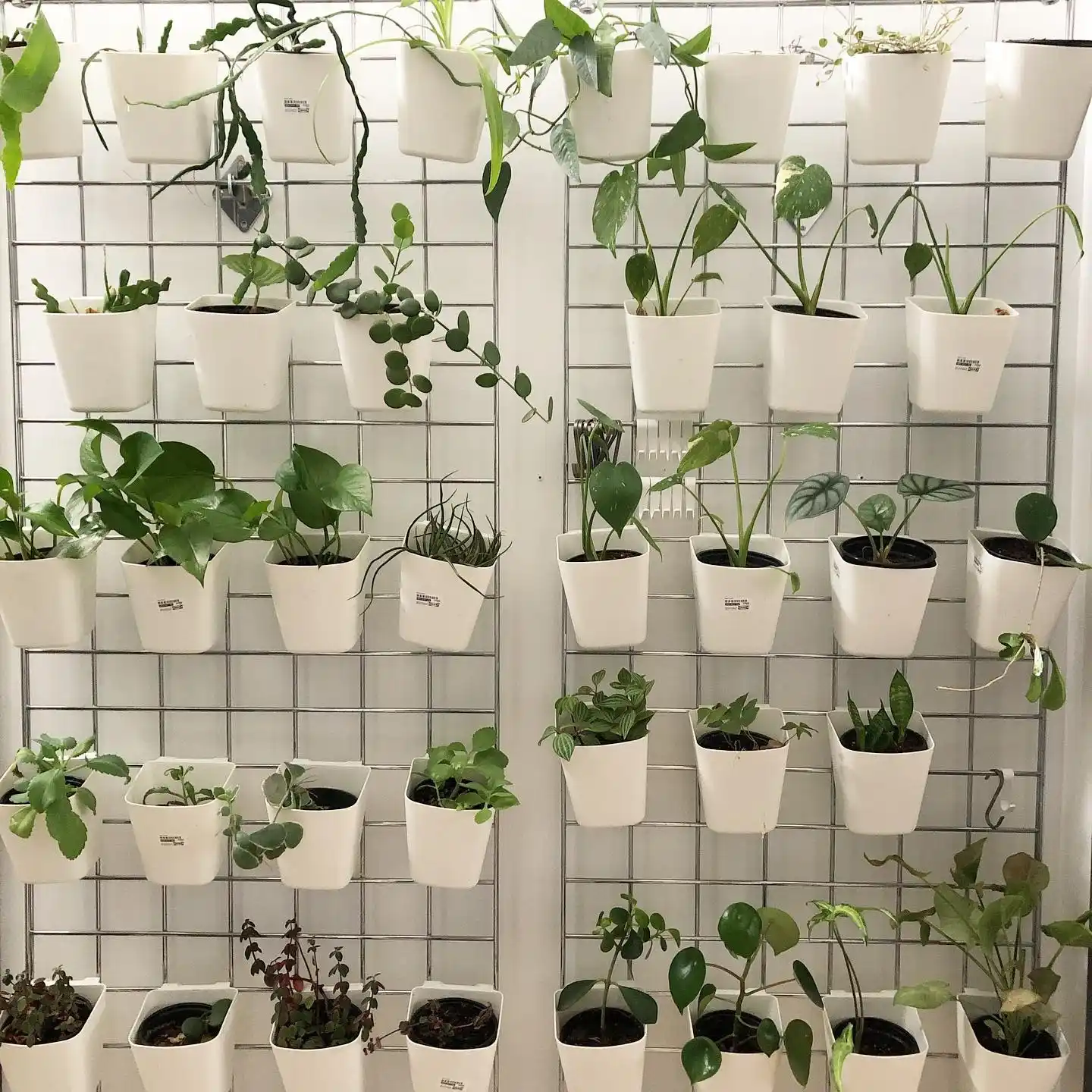 Transform Your Tiny Kitchen with 12 Creative Herb Garden Ideas 11 Backsplash with Grid Organizers