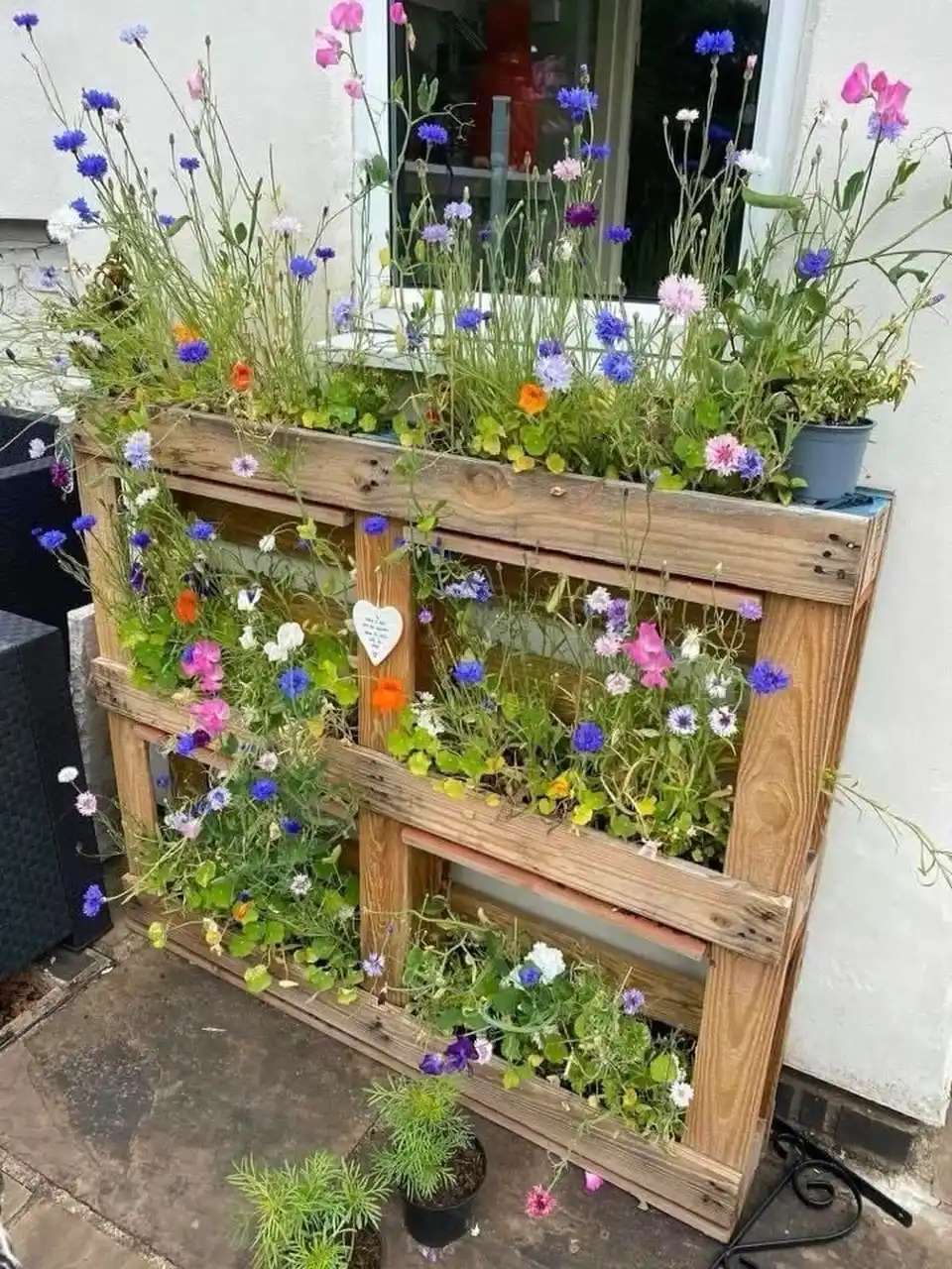 Creative Backyard Inspiration: 13 DIY Herb Garden Projects for Beginners 4 Backyard Herb Garden Projects