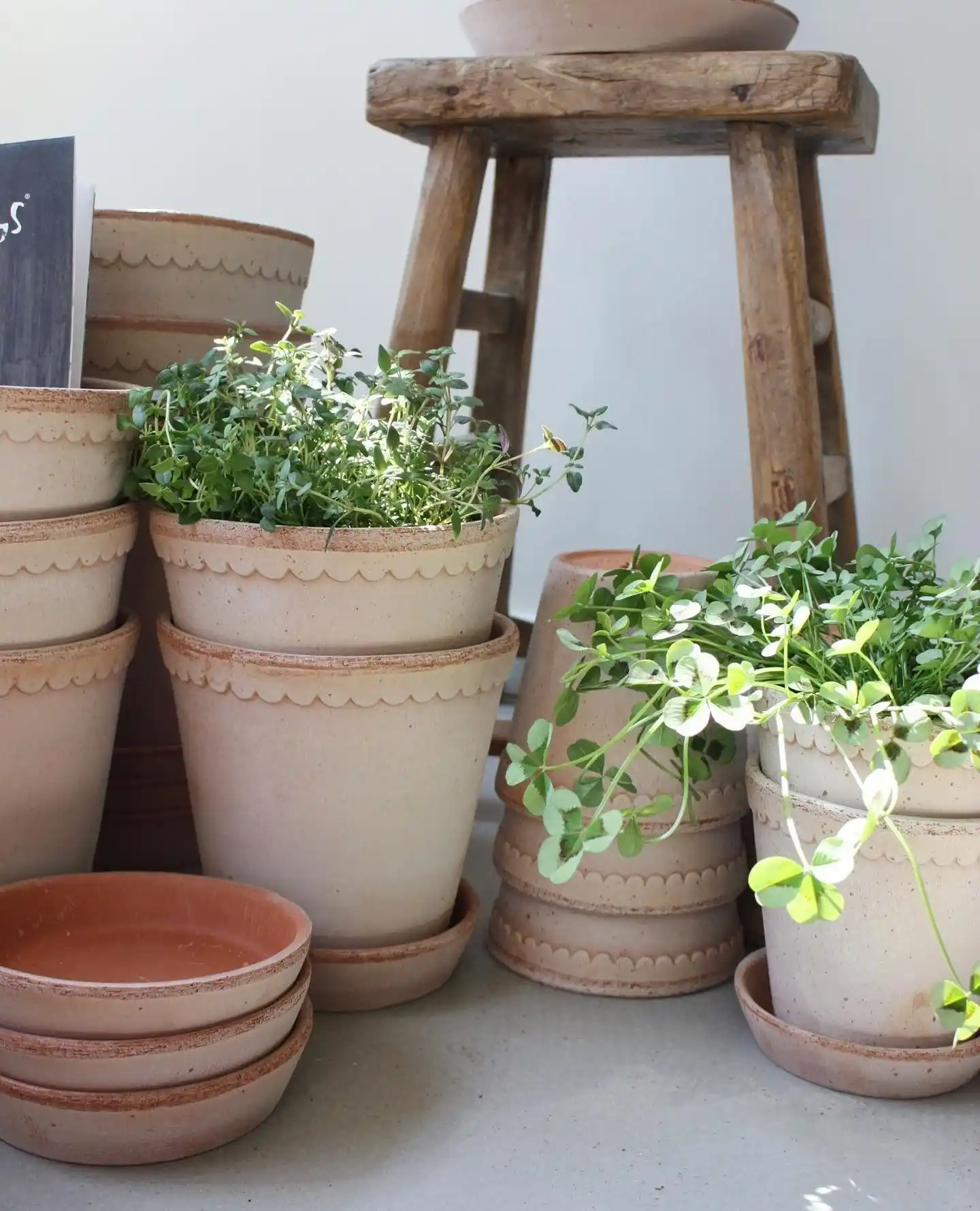 Brighten Your Windowsill with 15 Unique Herb Planter Ideas 8 Clay pot herb windowsill
