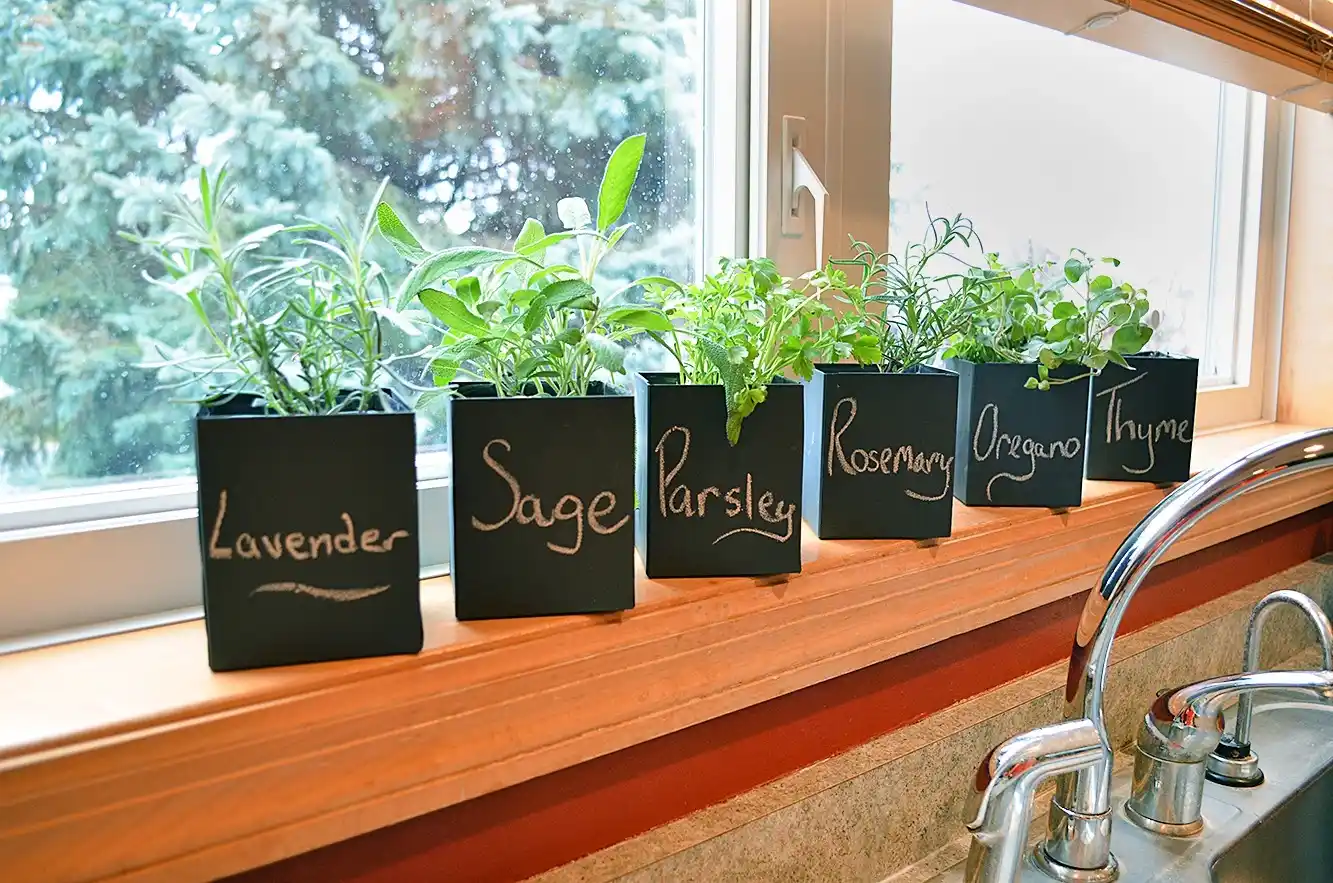 11 Best Tips for Growing Herbs Indoors Year-Round 7 Growing herbs indoors