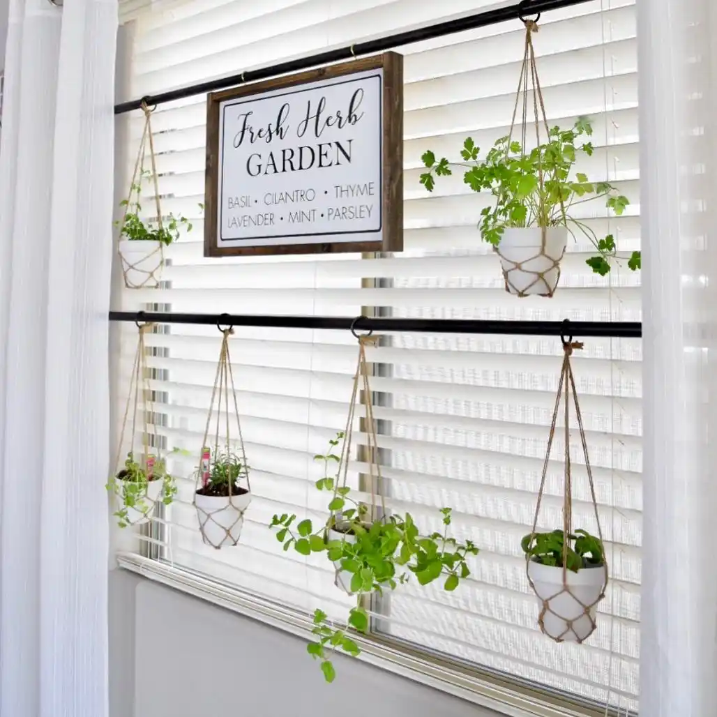 10 Essentials for a Thriving Indoor Herb Garden 4 Herb Glow Kitchen