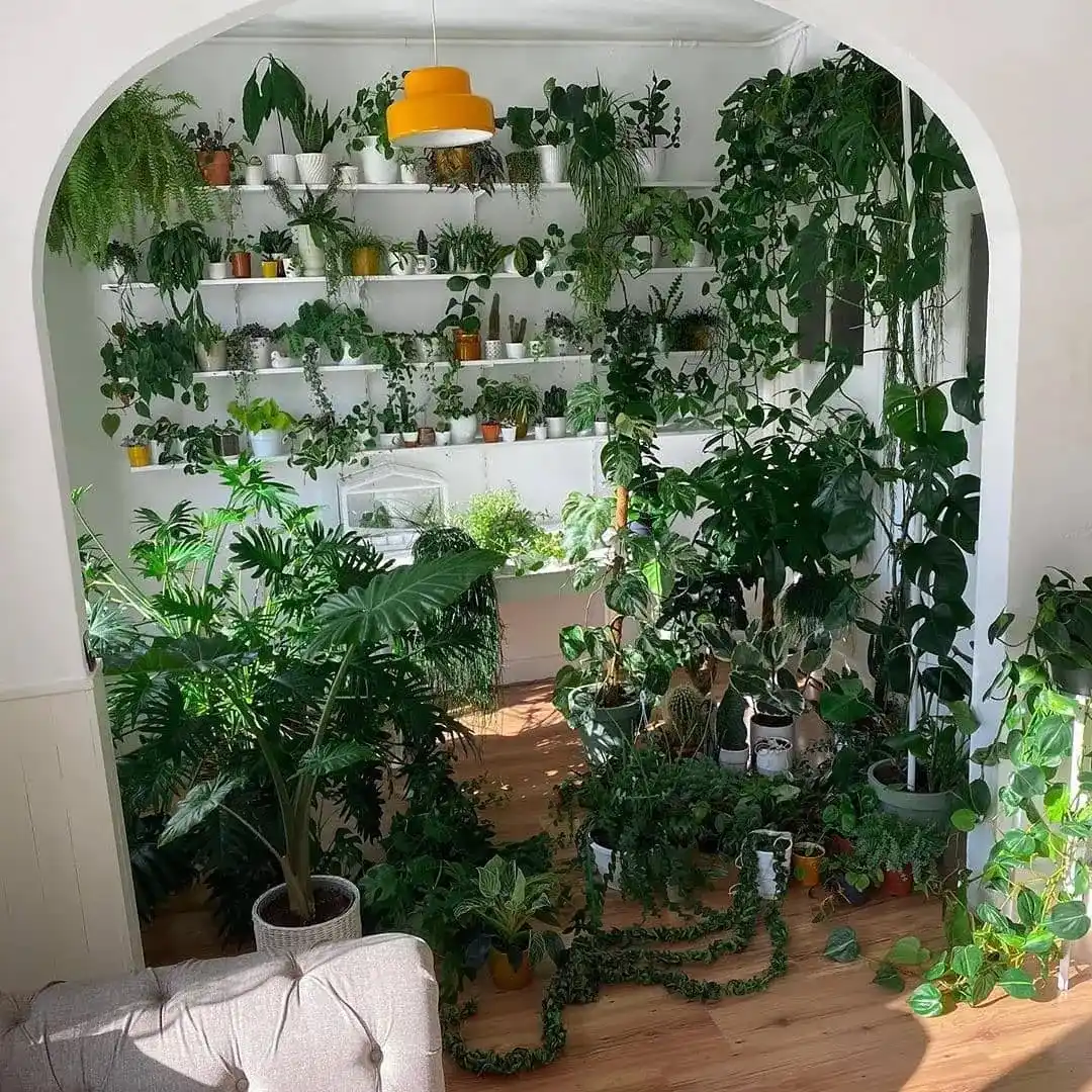 11 Best Tips for Growing Herbs Indoors Year-Round 6 Home herb setup