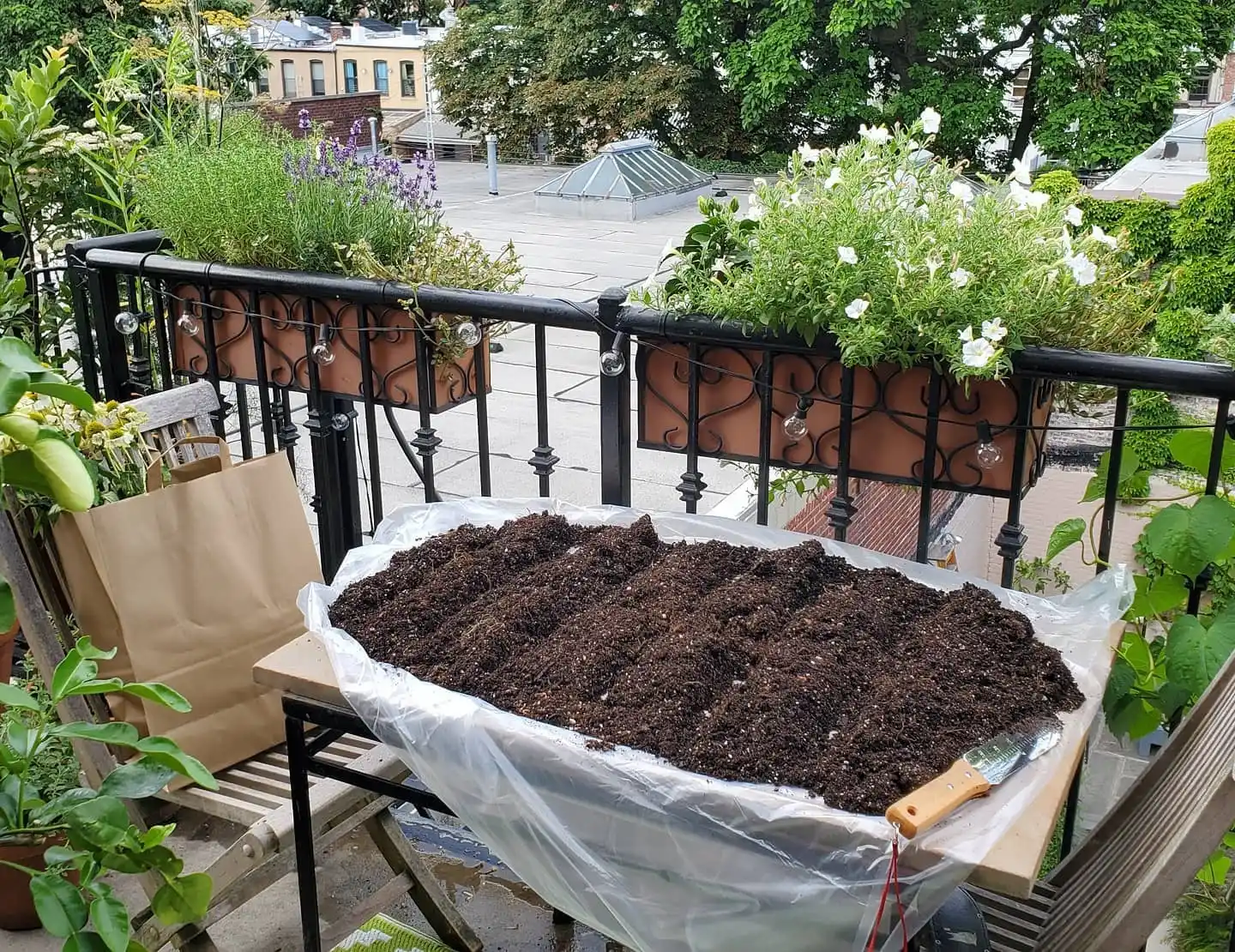 11 Best Tips for Growing Herbs Indoors Year-Round 8 Potting soil for herbs