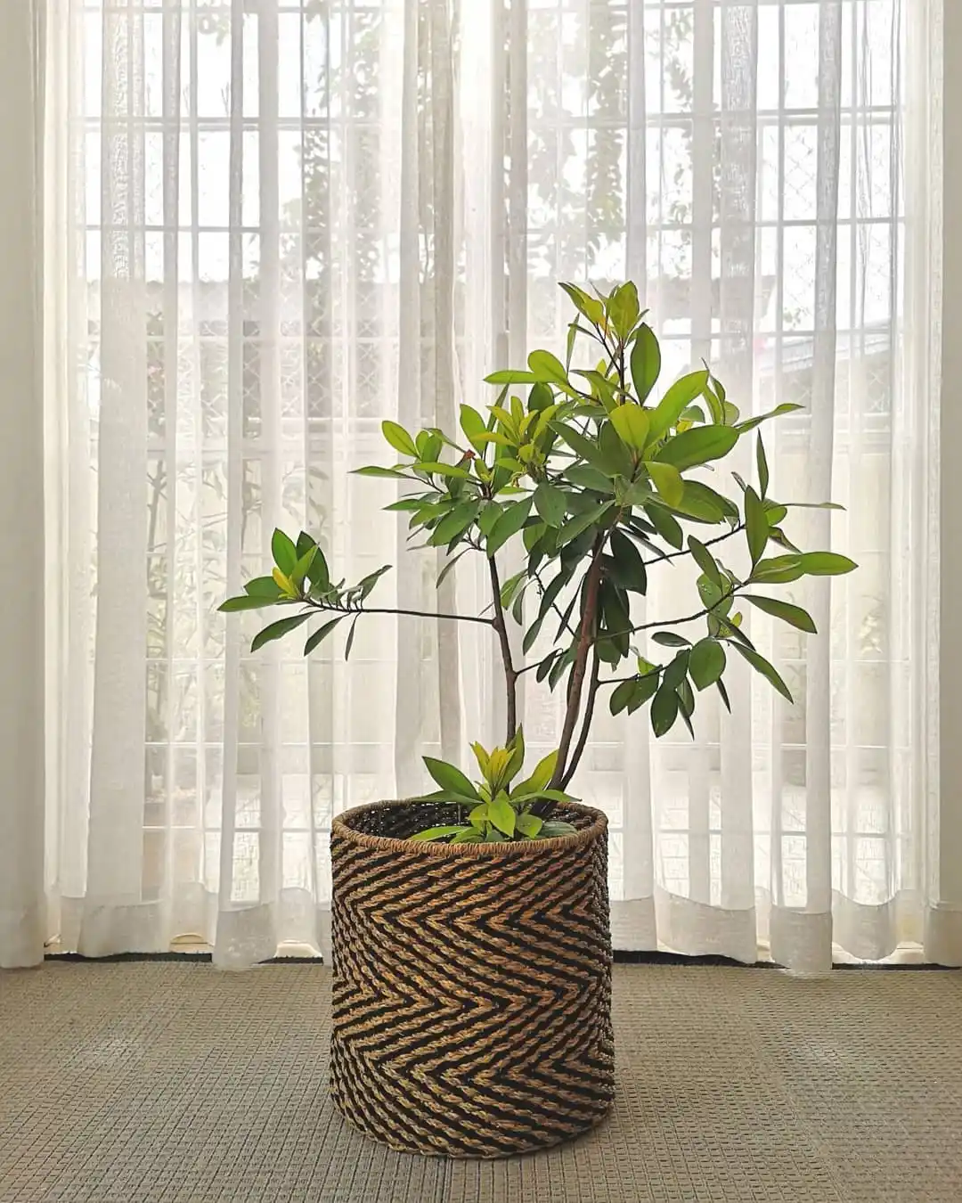Brighten Your Windowsill with 15 Unique Herb Planter Ideas 16 Scandinavian herb planters