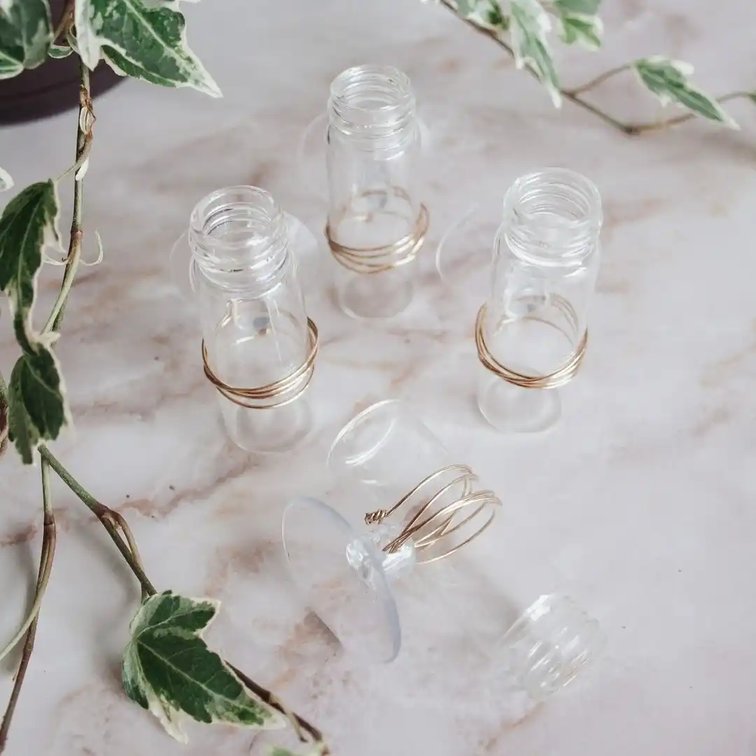 Transform Your Tiny Kitchen with 12 Creative Herb Garden Ideas 13 Suction Cup Pockets