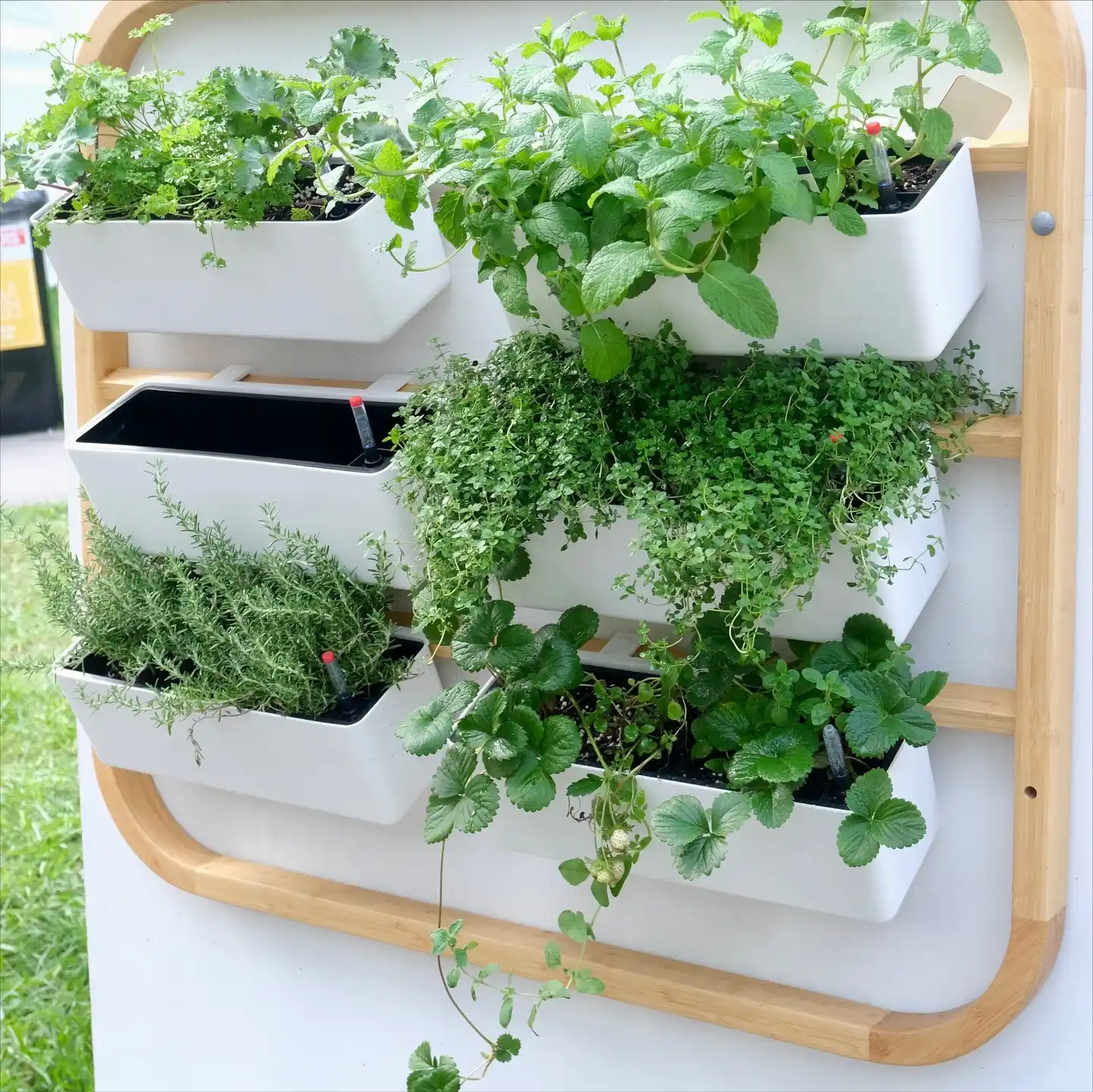 Transform Your Tiny Kitchen with 12 Creative Herb Garden Ideas 3 Vertical Wall Rail Planters