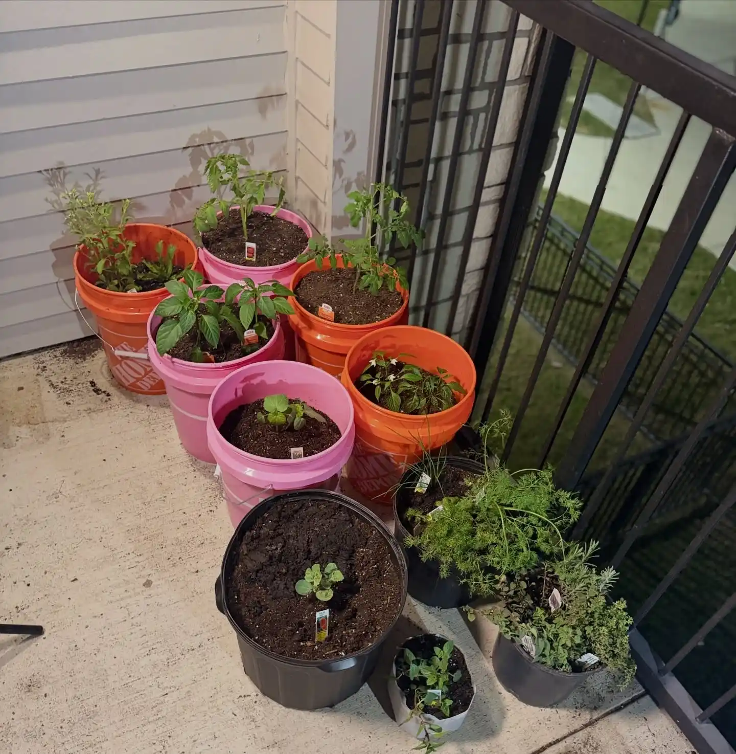 11 Best Tips for Growing Herbs Indoors Year-Round 3 Year-Round Herb Garden