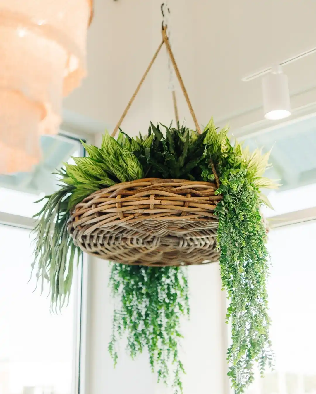 Transform Your Tiny Kitchen with 12 Creative Herb Garden Ideas 5 ceiling hanged wire basket