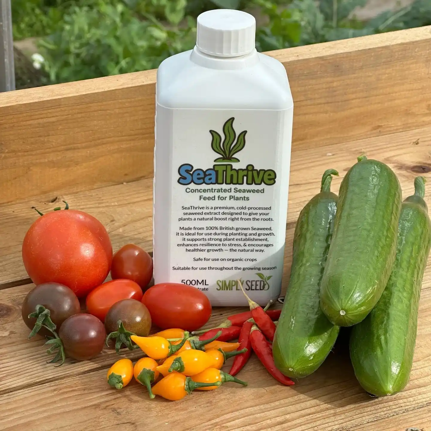 10 Essentials for a Thriving Indoor Herb Garden 10 feed plants lightly