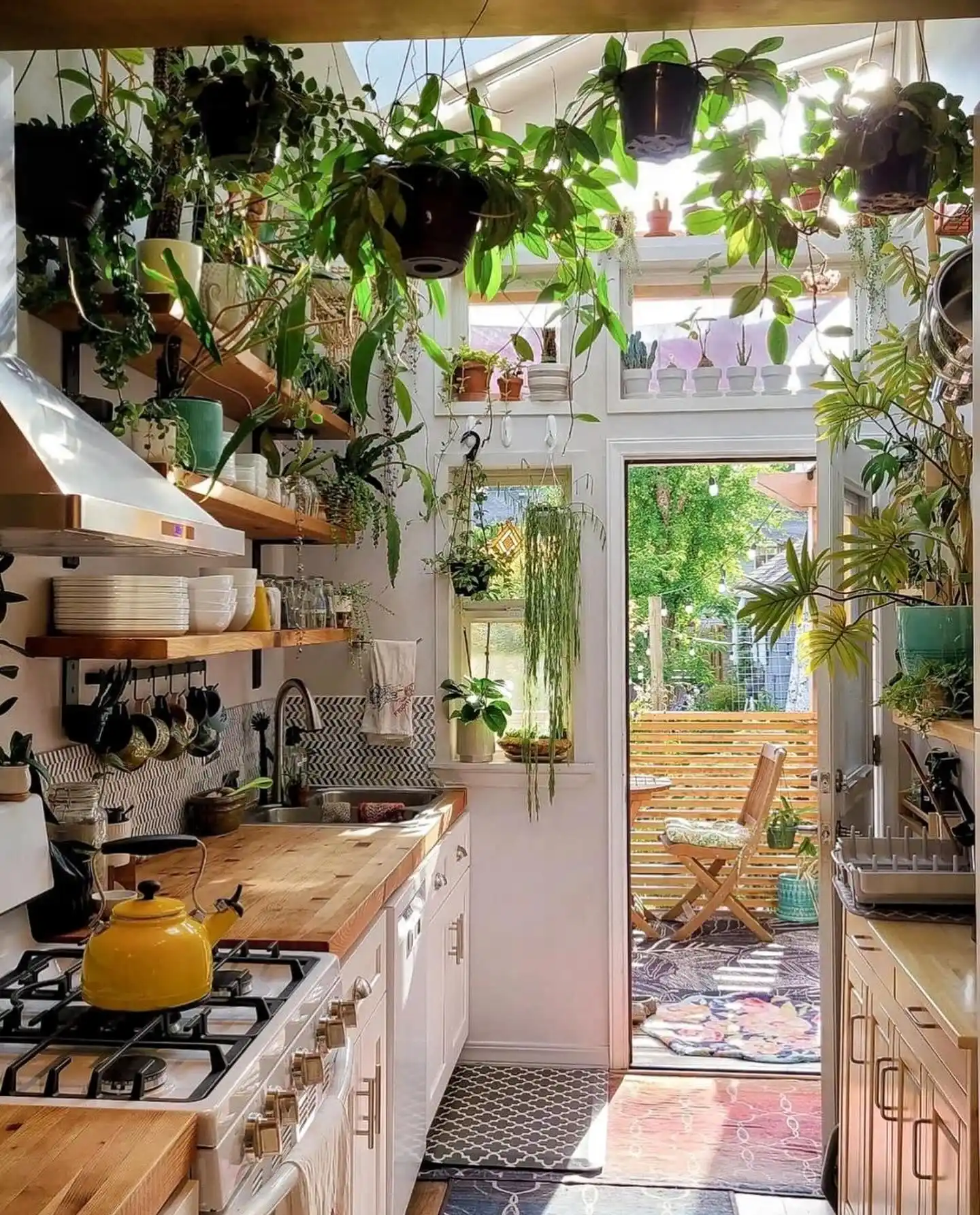 Why an Indoor Herb Garden Improves Your Kitchen Air Quality 3 herbs kitchen