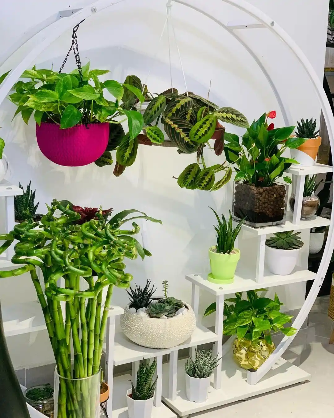 Why an Indoor Herb Garden Improves Your Kitchen Air Quality 5 natural home freshness