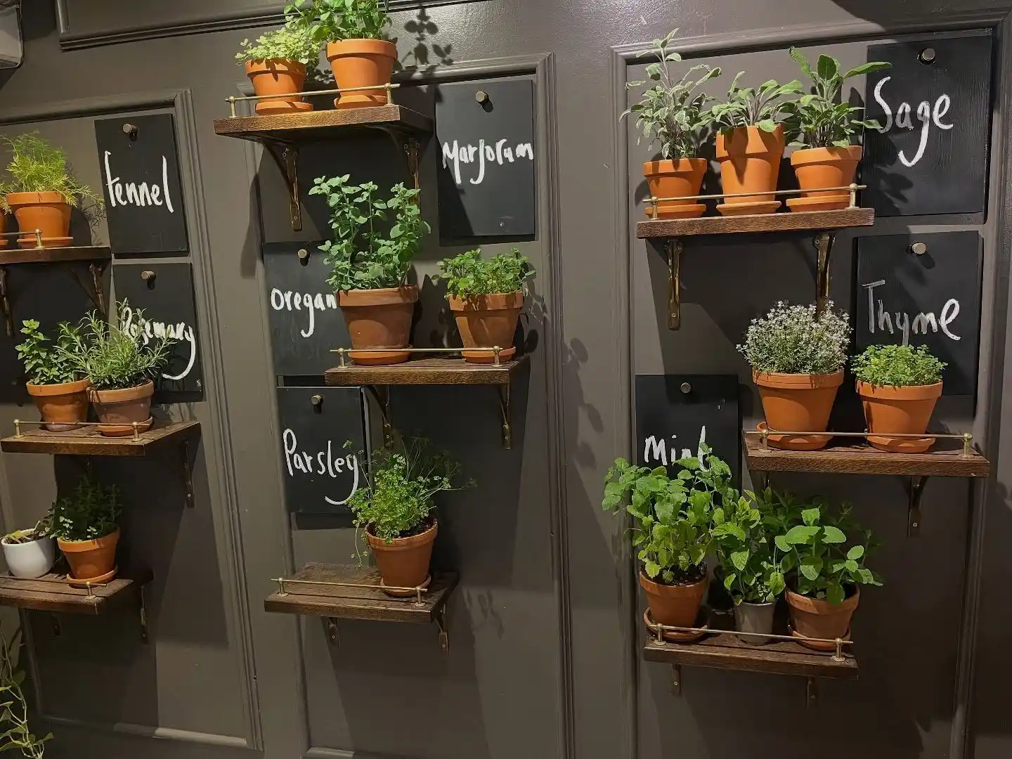 Transform Your Kitchen 15 Stunning Wall Herb Garden Ideas 13 Aesthetic Culinary Herb Wall