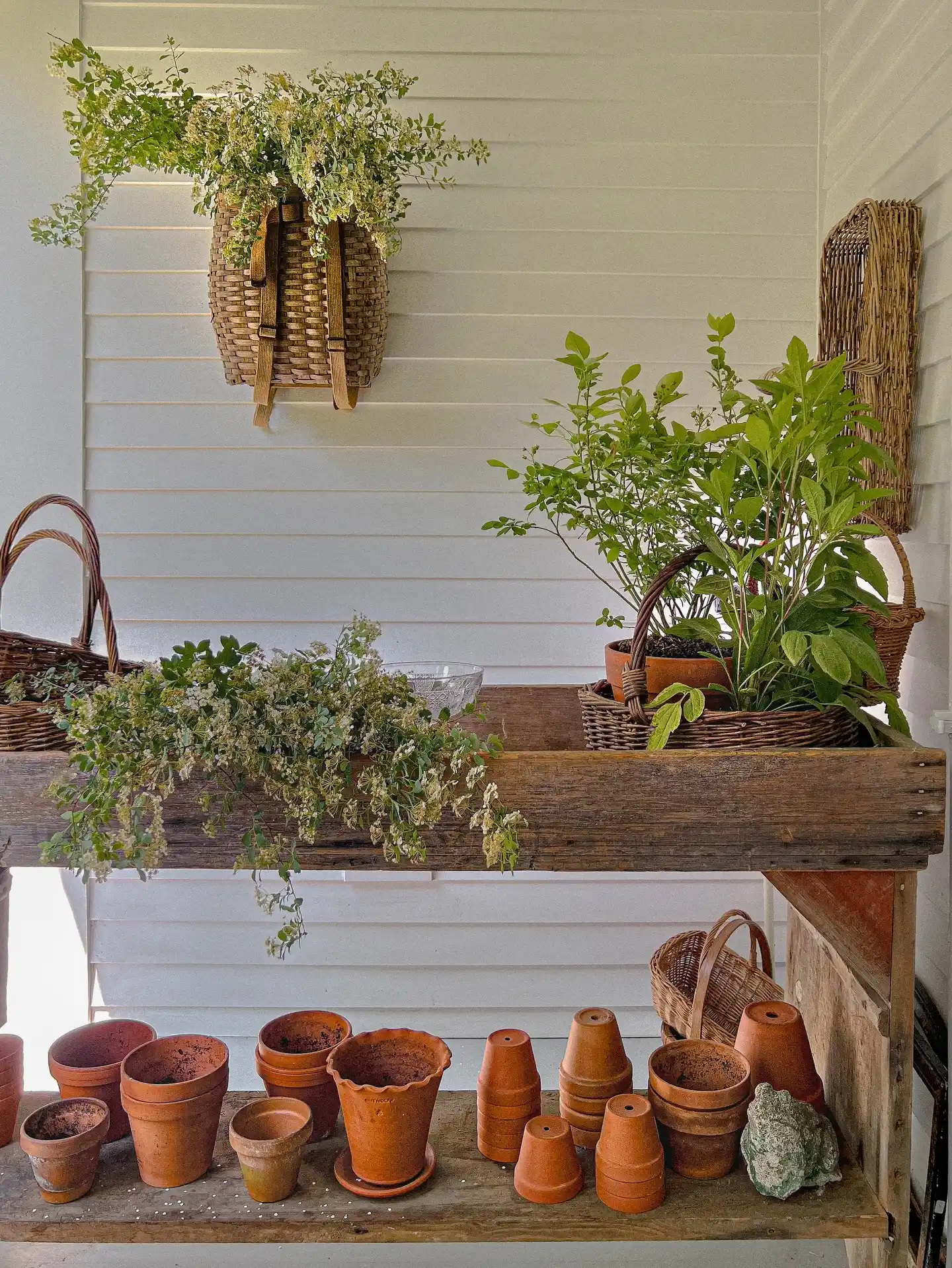 12 Mistakes to Avoid with Your Indoor Herb Garden 12 Fix Your Herb Garden
