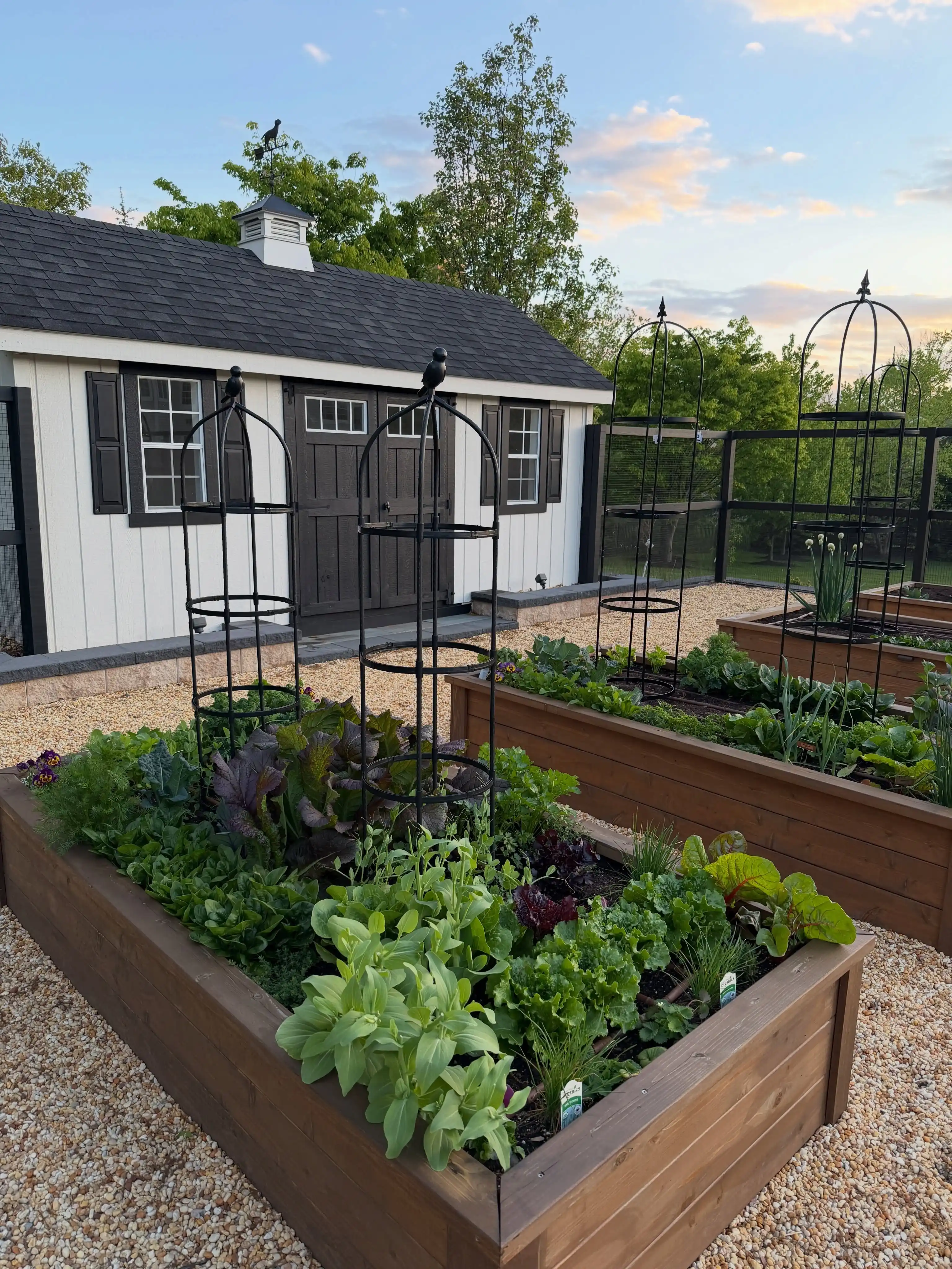 12 Mistakes to Avoid with Your Indoor Herb Garden 5 Herb Garden Root Rot