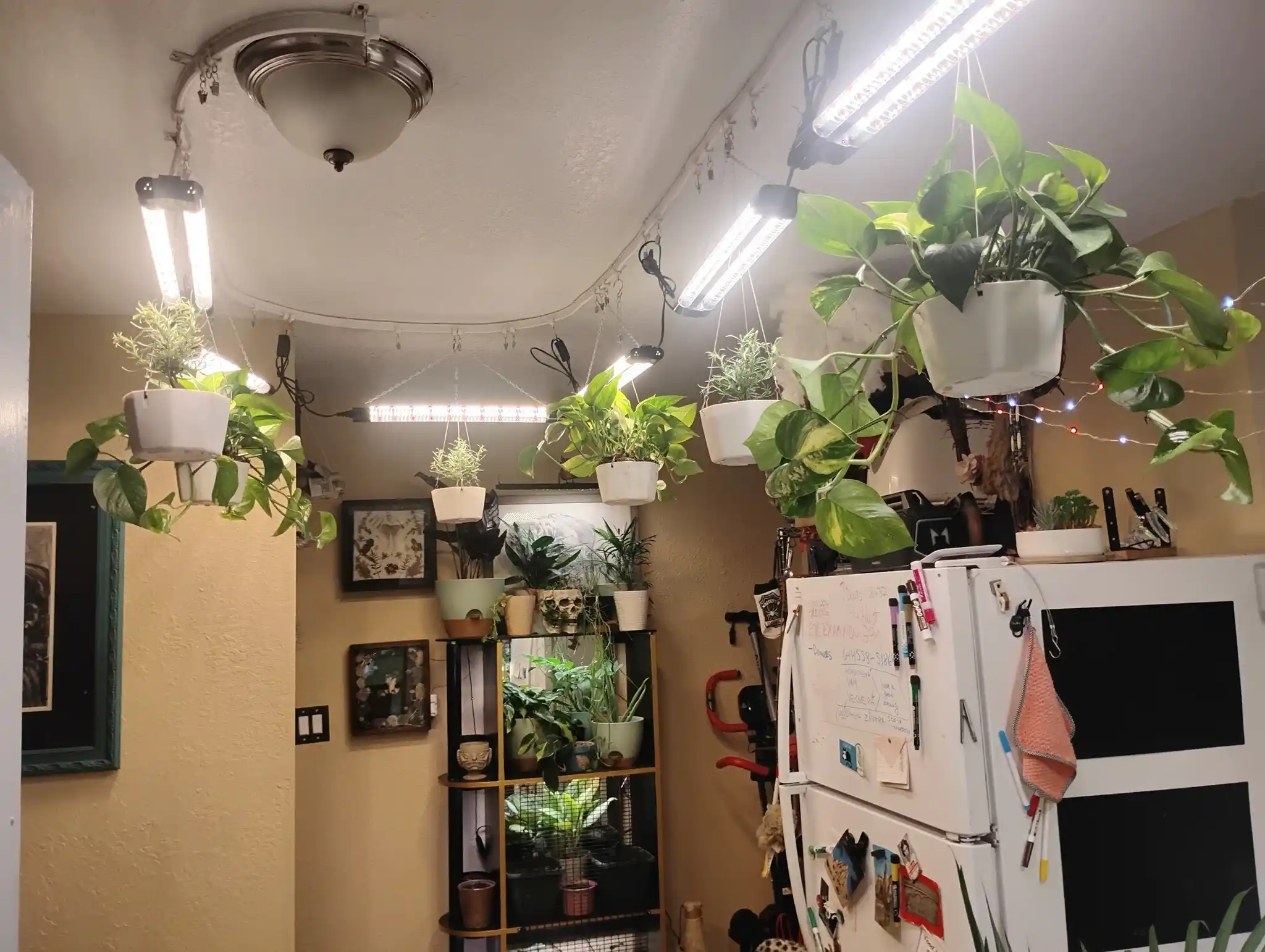 Transform Your Kitchen 15 Stunning Wall Herb Garden Ideas 10 Kitchen Rail Plant