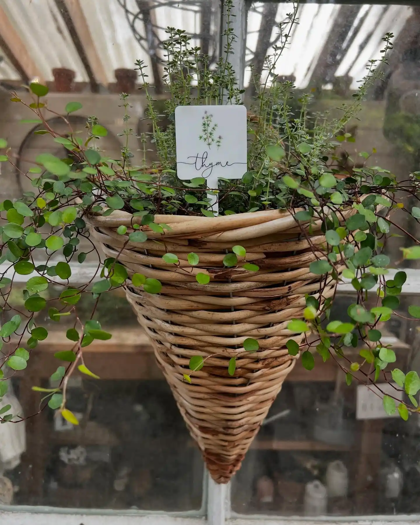14 Indoor Herb Garden Ideas That Double as Decor 5 Minimalist Herb Garden Decor