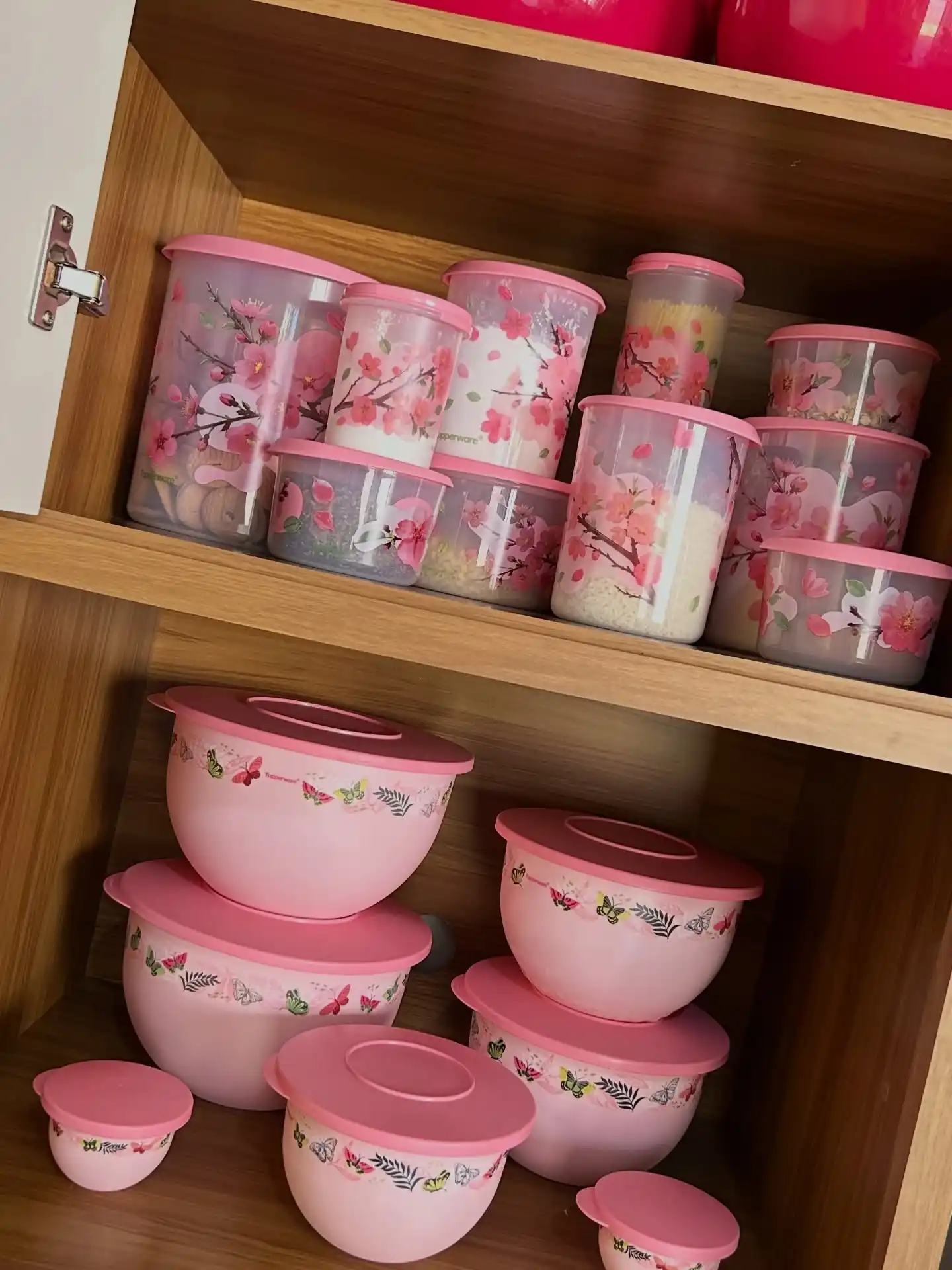 13 Must-Have Wedding Registry Kitchen Organization Essentials 10 Tupperware organization system