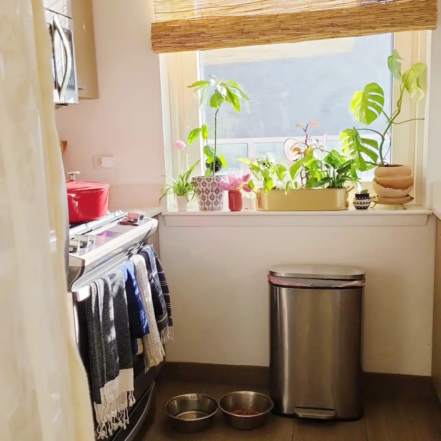 How to Add Color to All-White Kitchen Grandma core 4 Window Herb Display