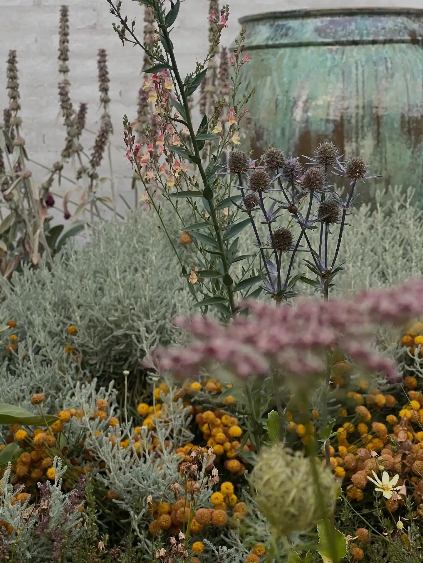 12 Mistakes to Avoid with Your Indoor Herb Garden 8 Yellow Leaves Herb Garden