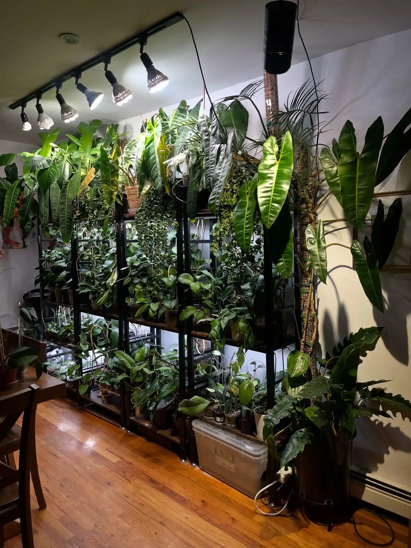 15 Vertical Wall Herb Arrangements for Small Spaces 11 botanical wall art live