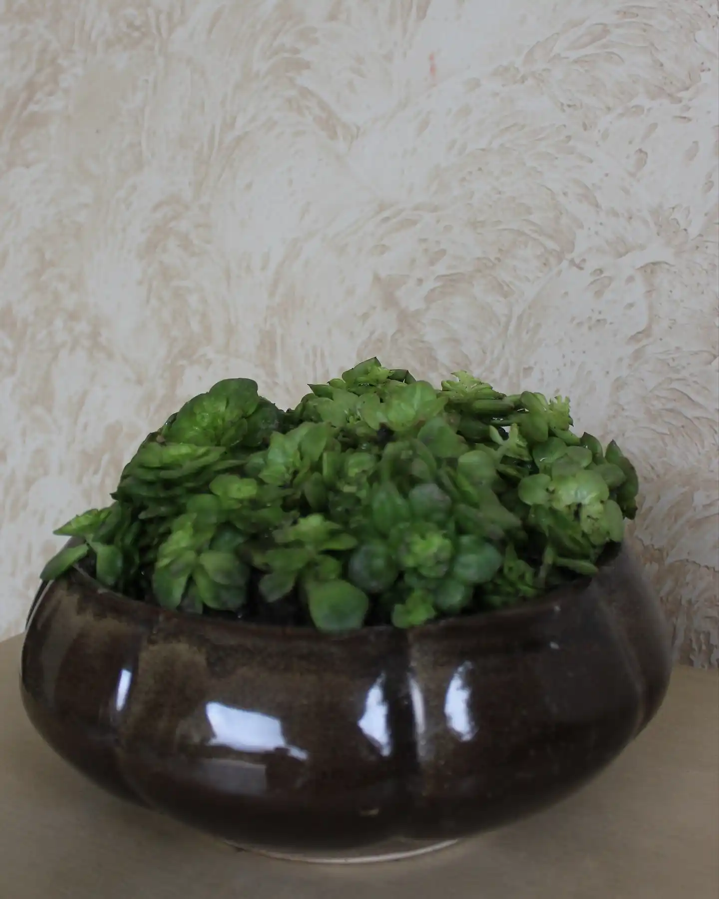 15 Vertical Wall Herb Arrangements for Small Spaces 12 chic herb planter