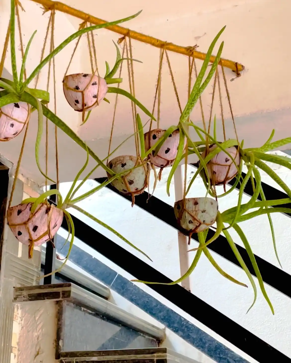 10 DIY Herb Planter Styles Using Up cycled Materials 7 coconut shell plant pots