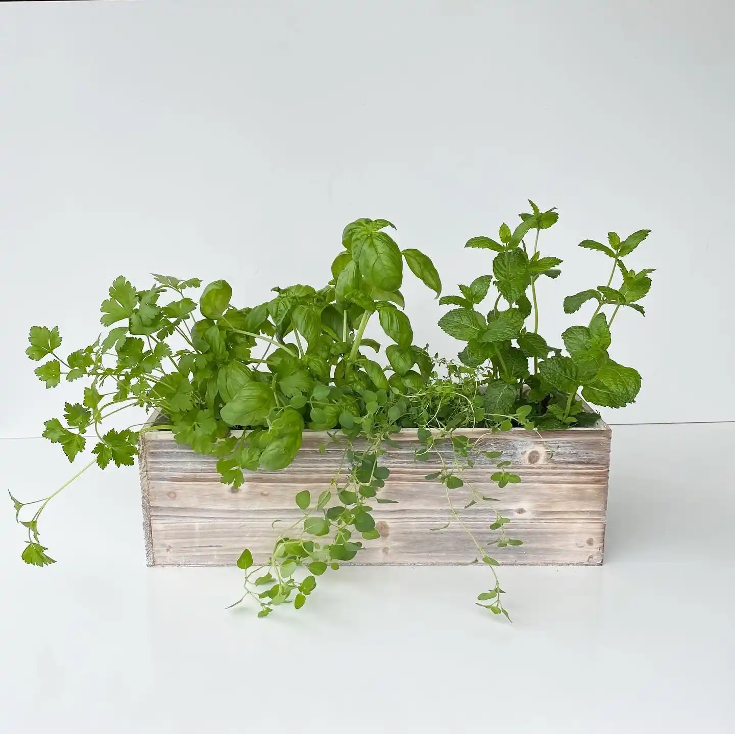 10 Modern Herb Garden Design Concepts for Your Home 7 countertop planter