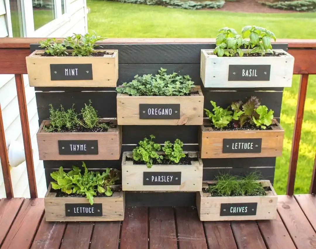 10 Geometric Herb Garden Design Shapes for Modern Homes 2 geomatrice herb garden