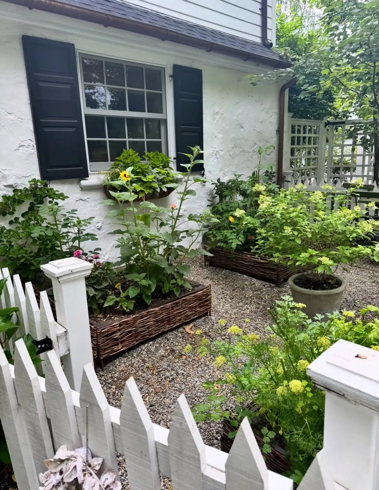 12 Mistakes to Avoid with Your Indoor Herb Garden 7 herb garden lighting