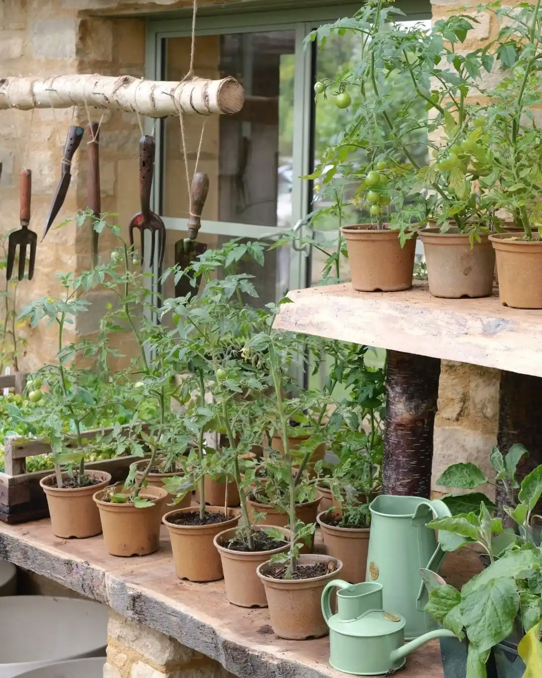 13 Transition Tips from Indoor to Outdoor Herb Garden Success 11 herb garden maintainance