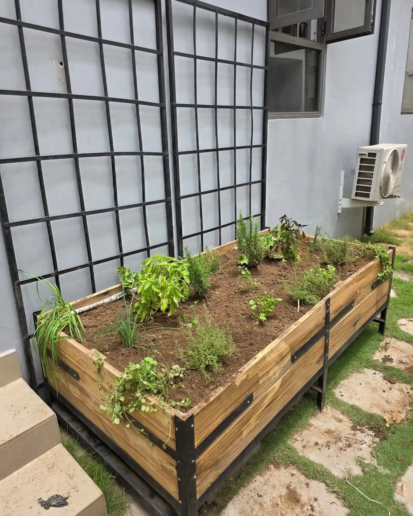 13 Transition Tips from Indoor to Outdoor Herb Garden Success 7 herb garden transplant