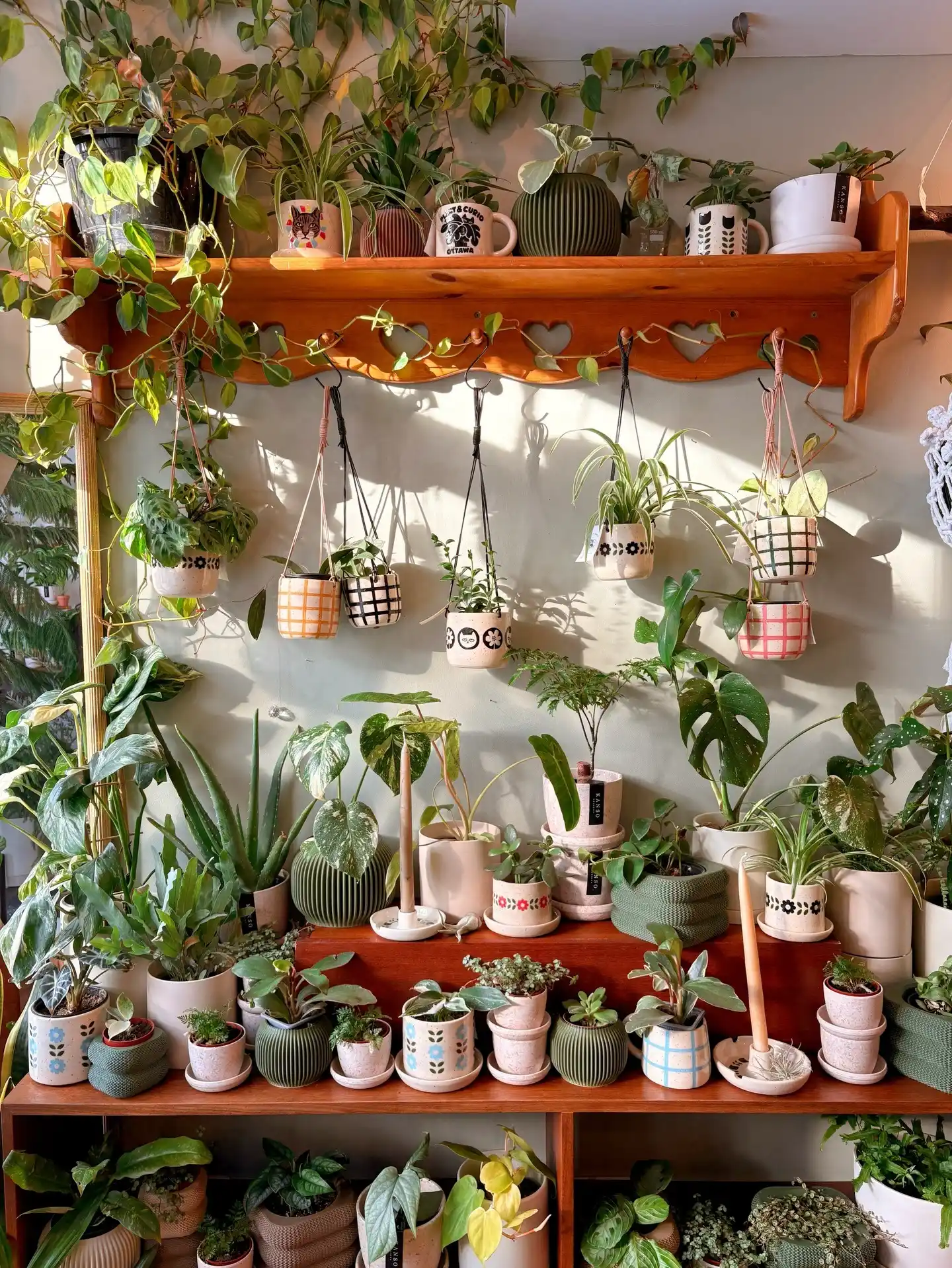 12 Simple Indoor Herb Garden DIY Kits and Hacks 2 indoor herb garden starter