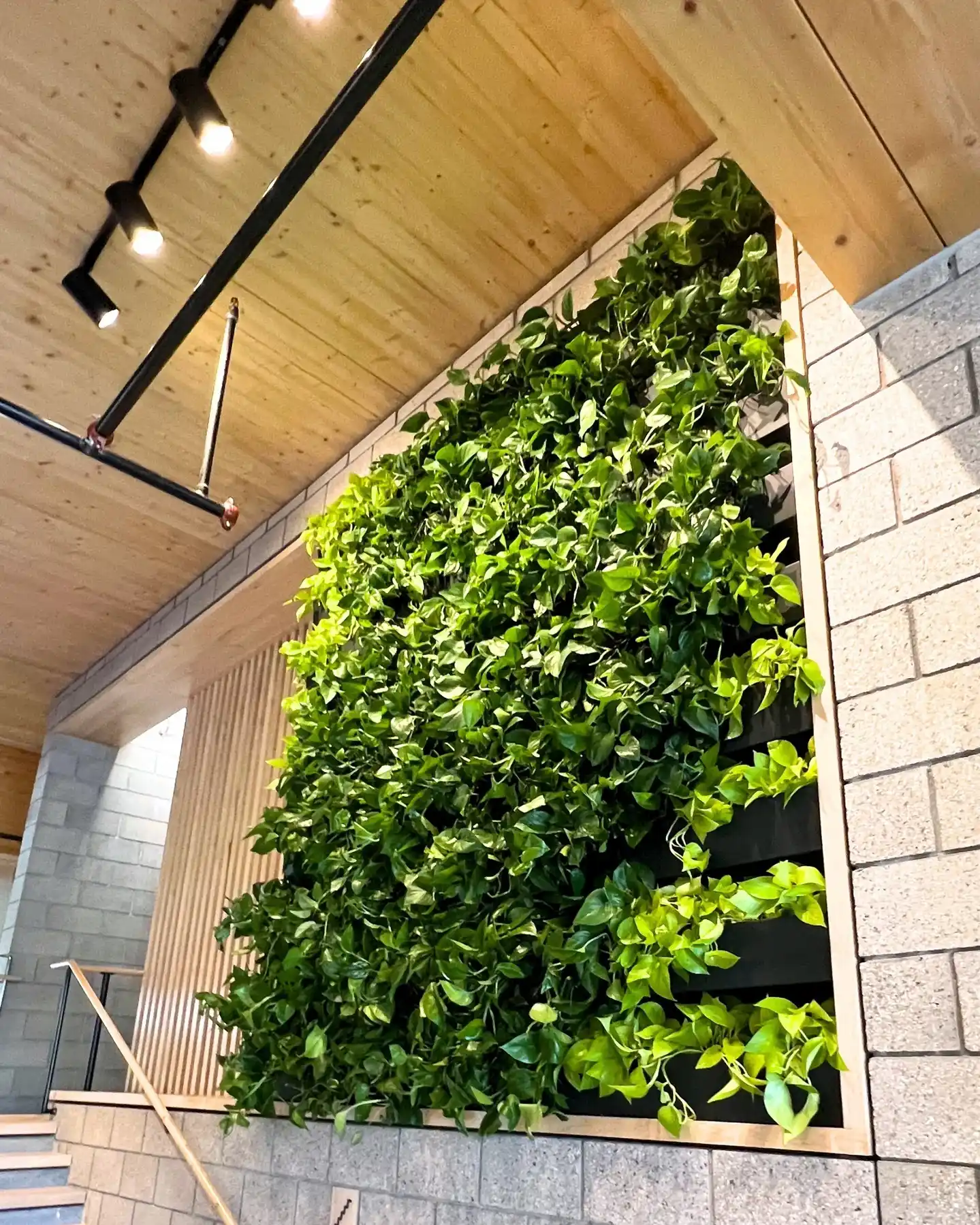 15 Vertical Wall Herb Arrangements for Small Spaces 5 indoor livingplant