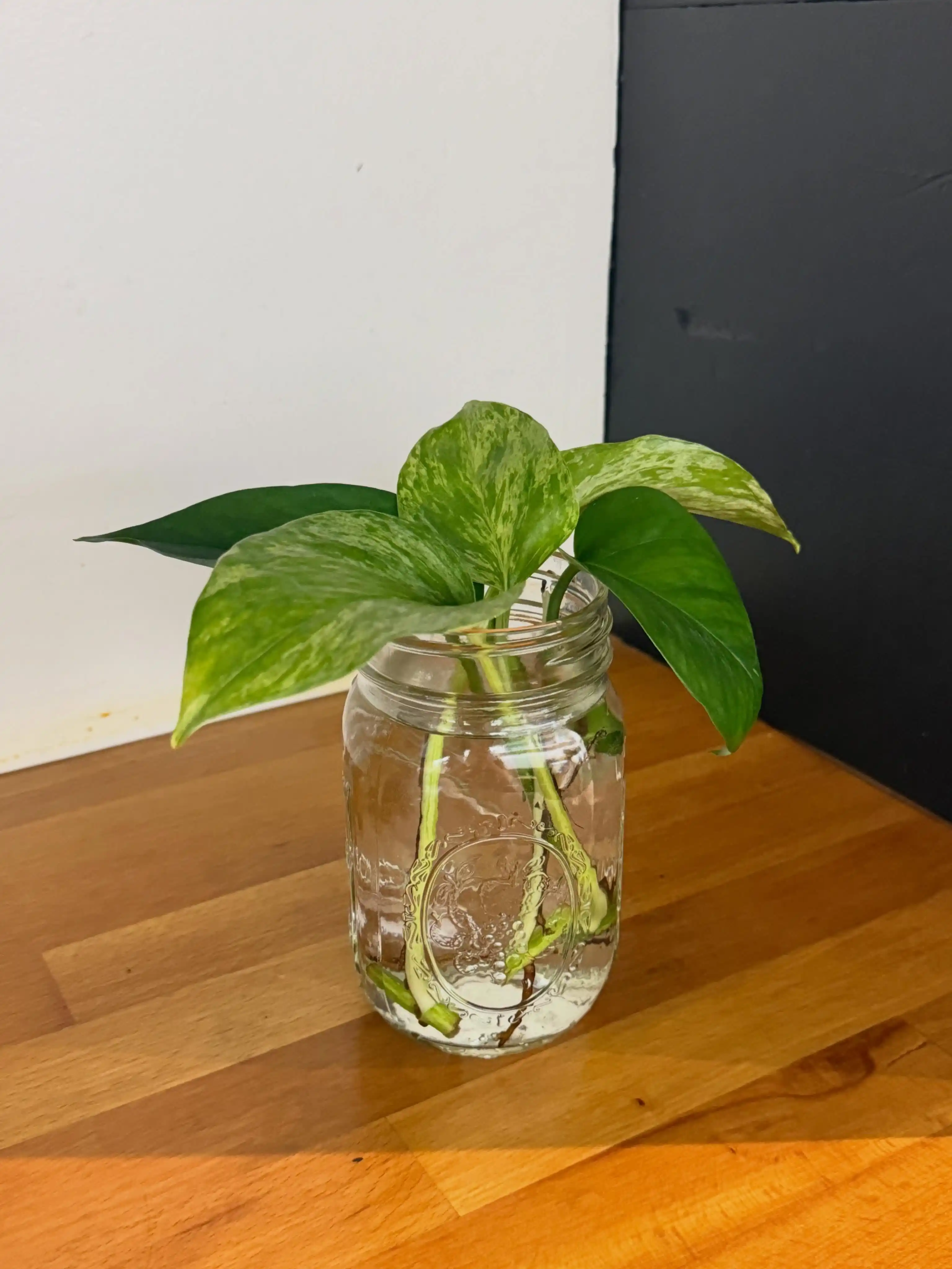10 DIY Herb Planter Styles Using Up cycled Materials 2 mason jar garden