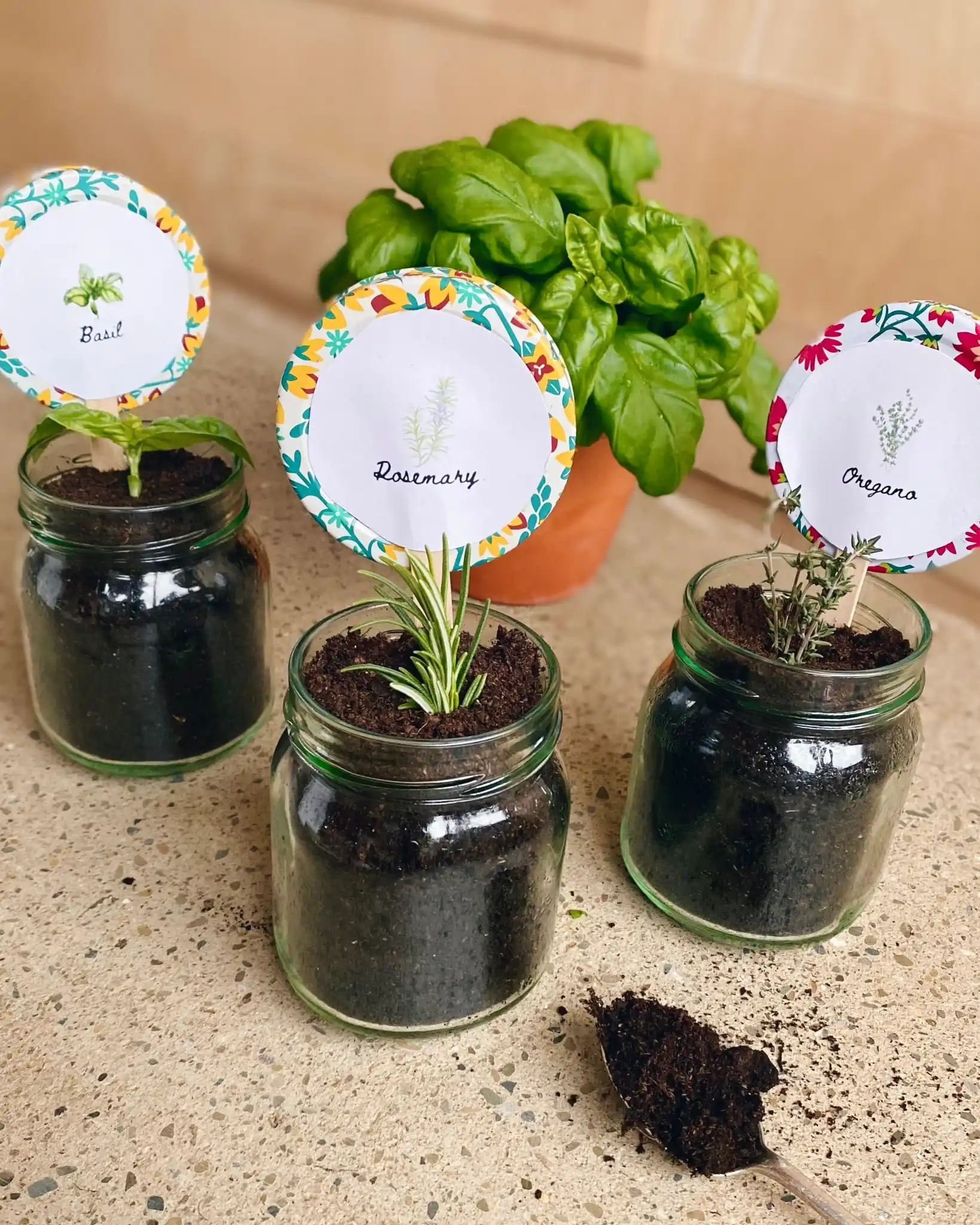 12 Simple Indoor Herb Garden DIY Kits and Hacks 4 mason jar herb garden