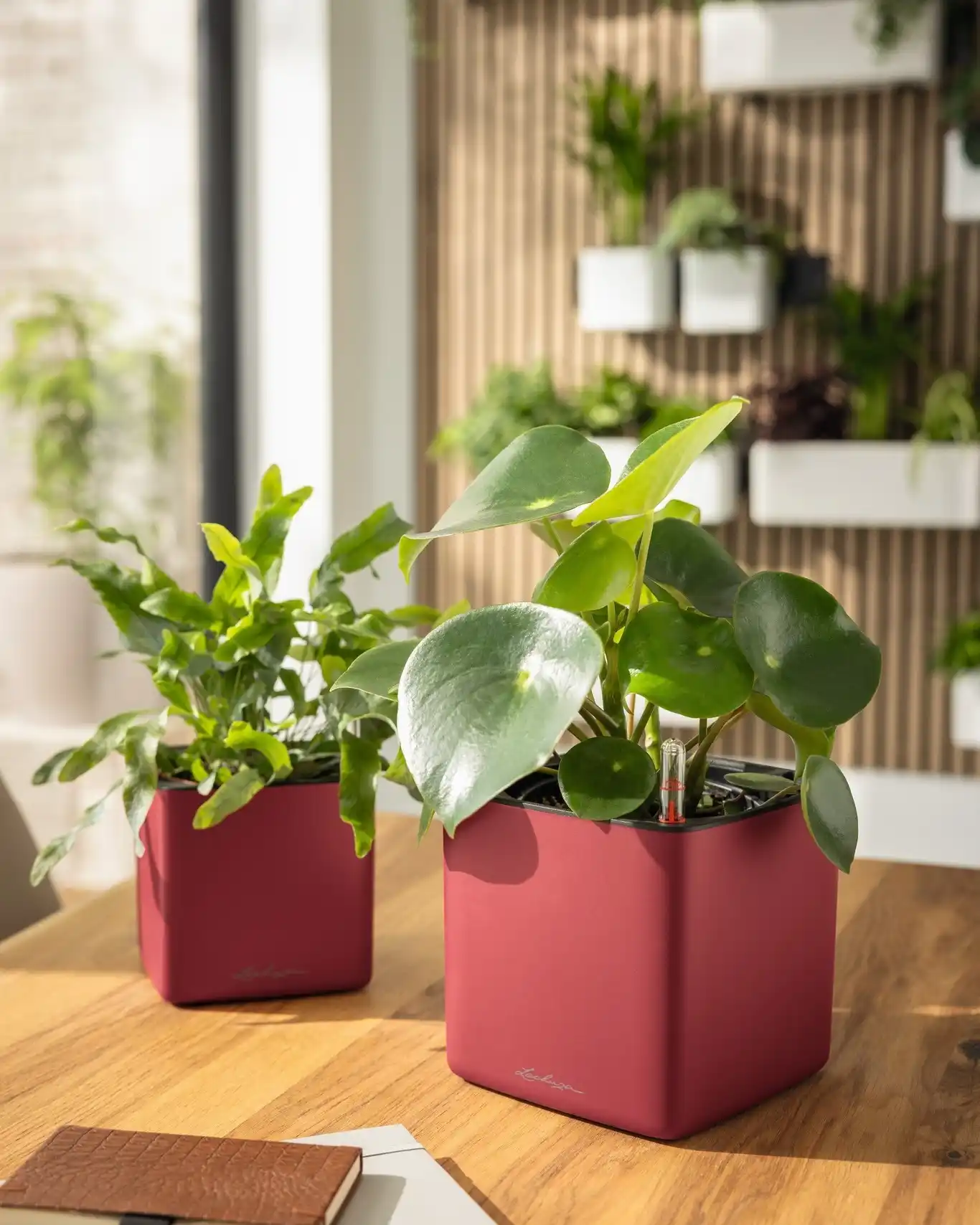 Transform Your Kitchen 15 Stunning Wall Herb Garden Ideas 3 modern organic kitchen