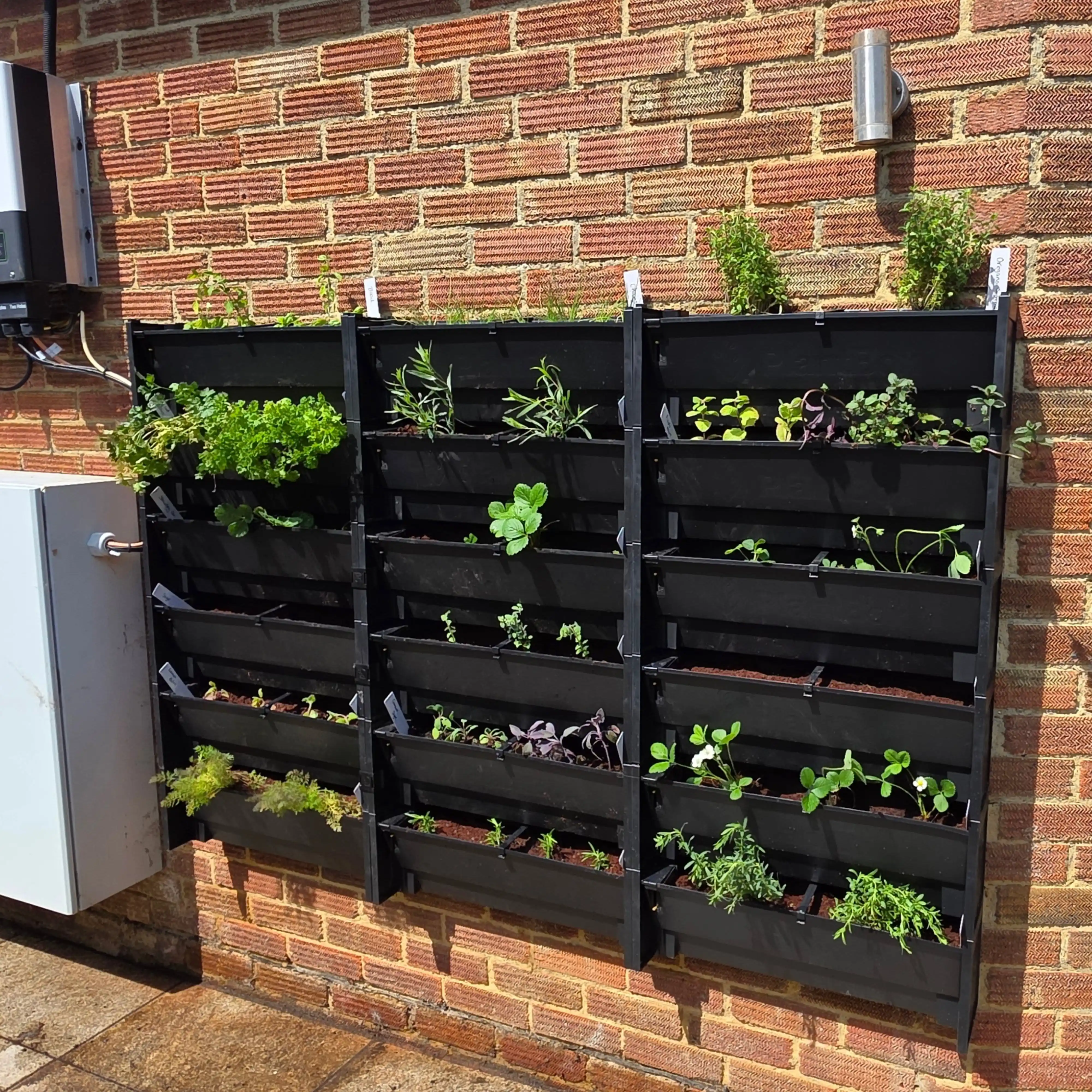 15 Vertical Wall Herb Arrangements for Small Spaces 4 mounted crat herb