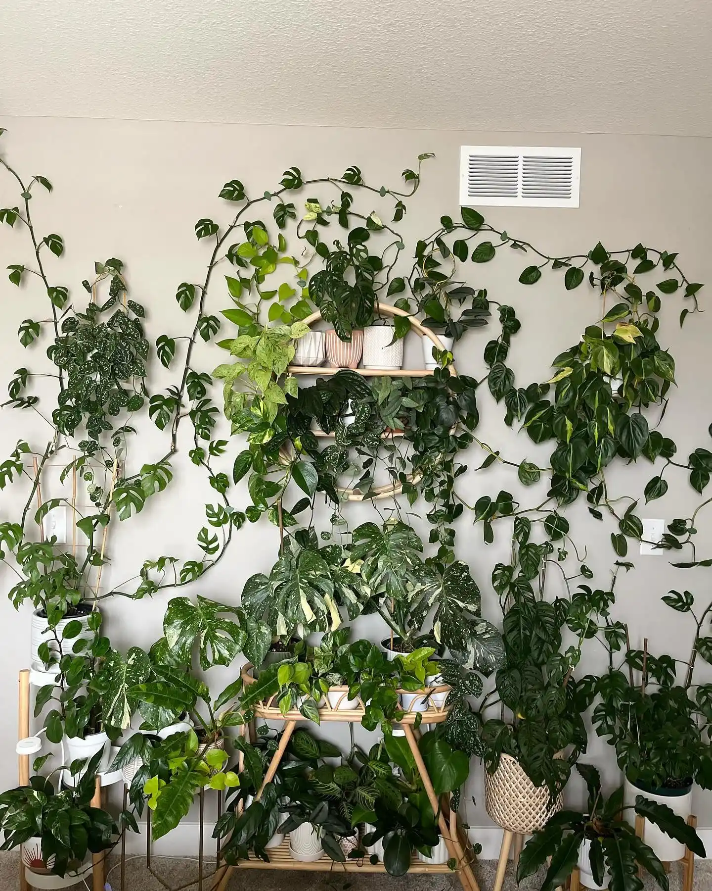 15 Vertical Wall Herb Arrangements for Small Spaces 13 plant wall inspo