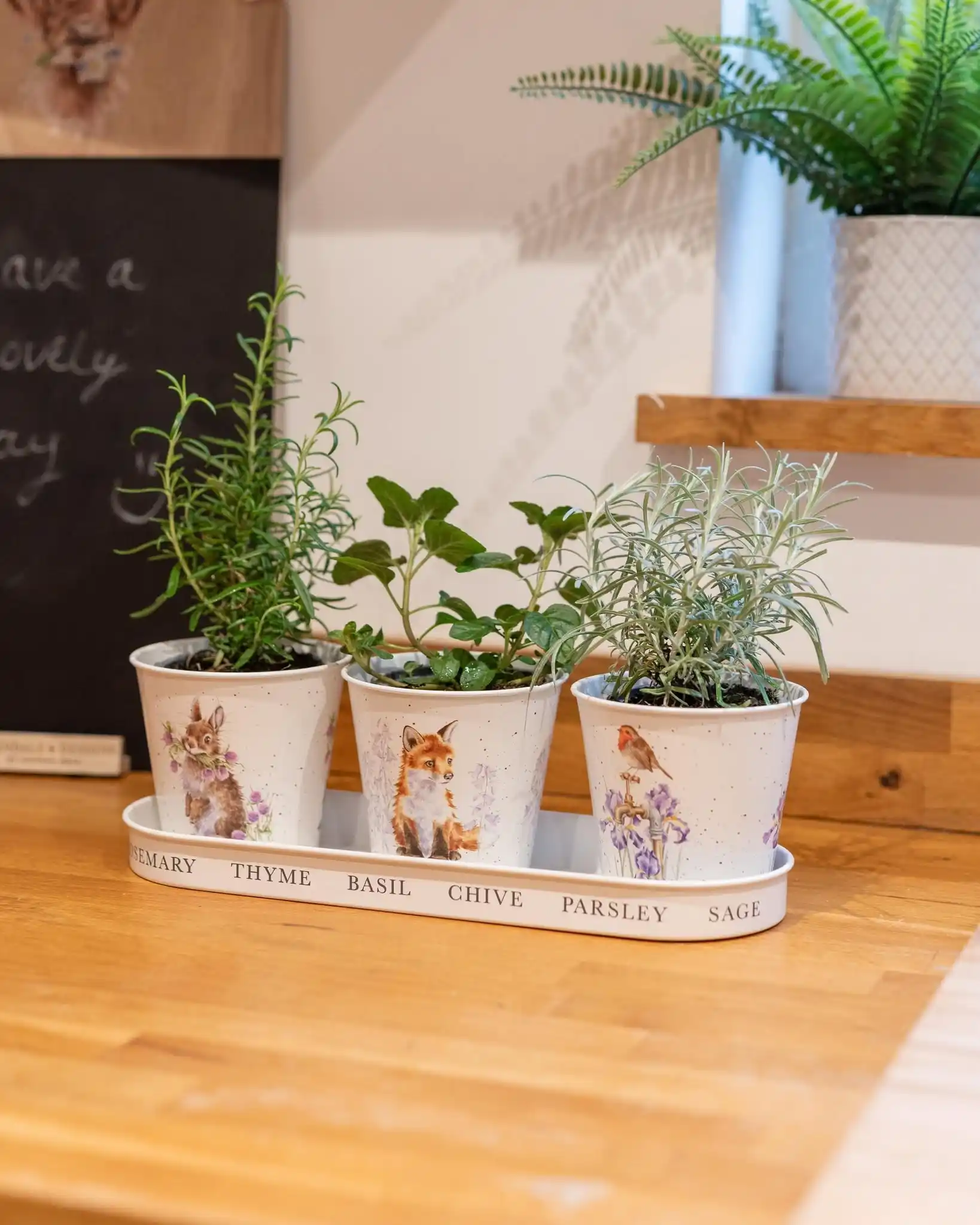 15 Vertical Wall Herb Arrangements for Small Spaces 10 sleek green kitchen