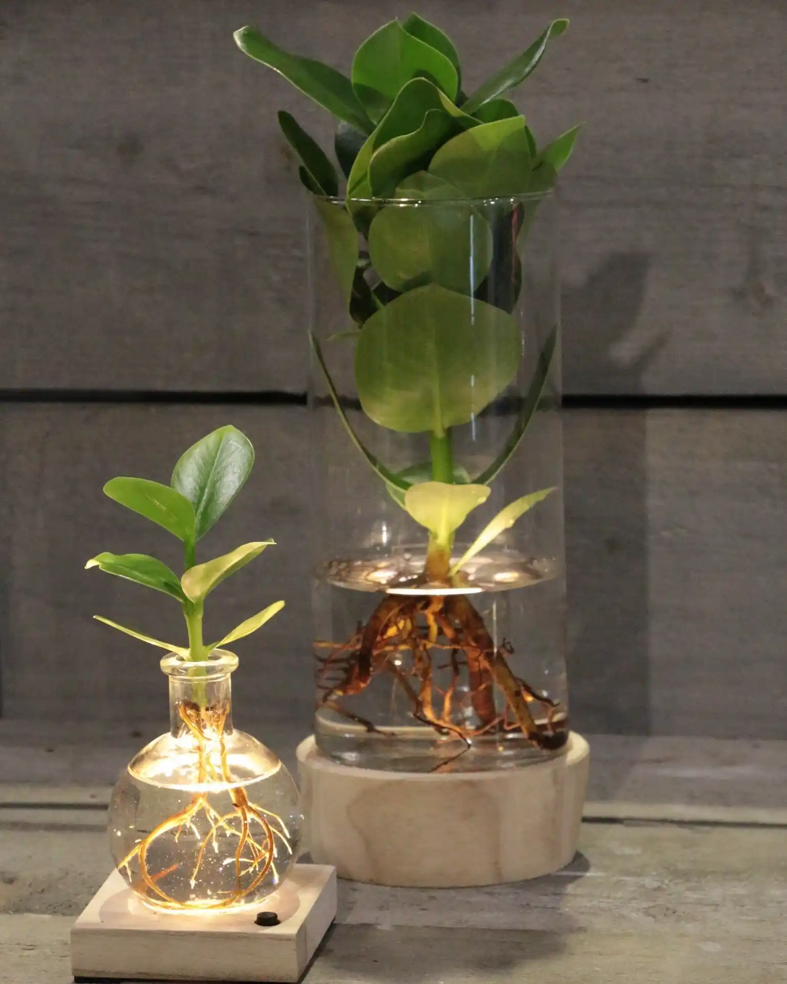 10 Modern Herb Garden Design Concepts for Your Home 3 smart osais