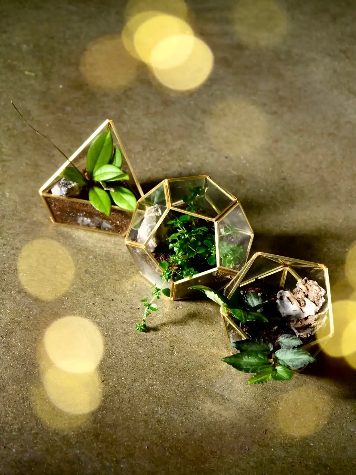 10 Geometric Herb Garden Design Shapes for Modern Homes 6 stylish herb garden