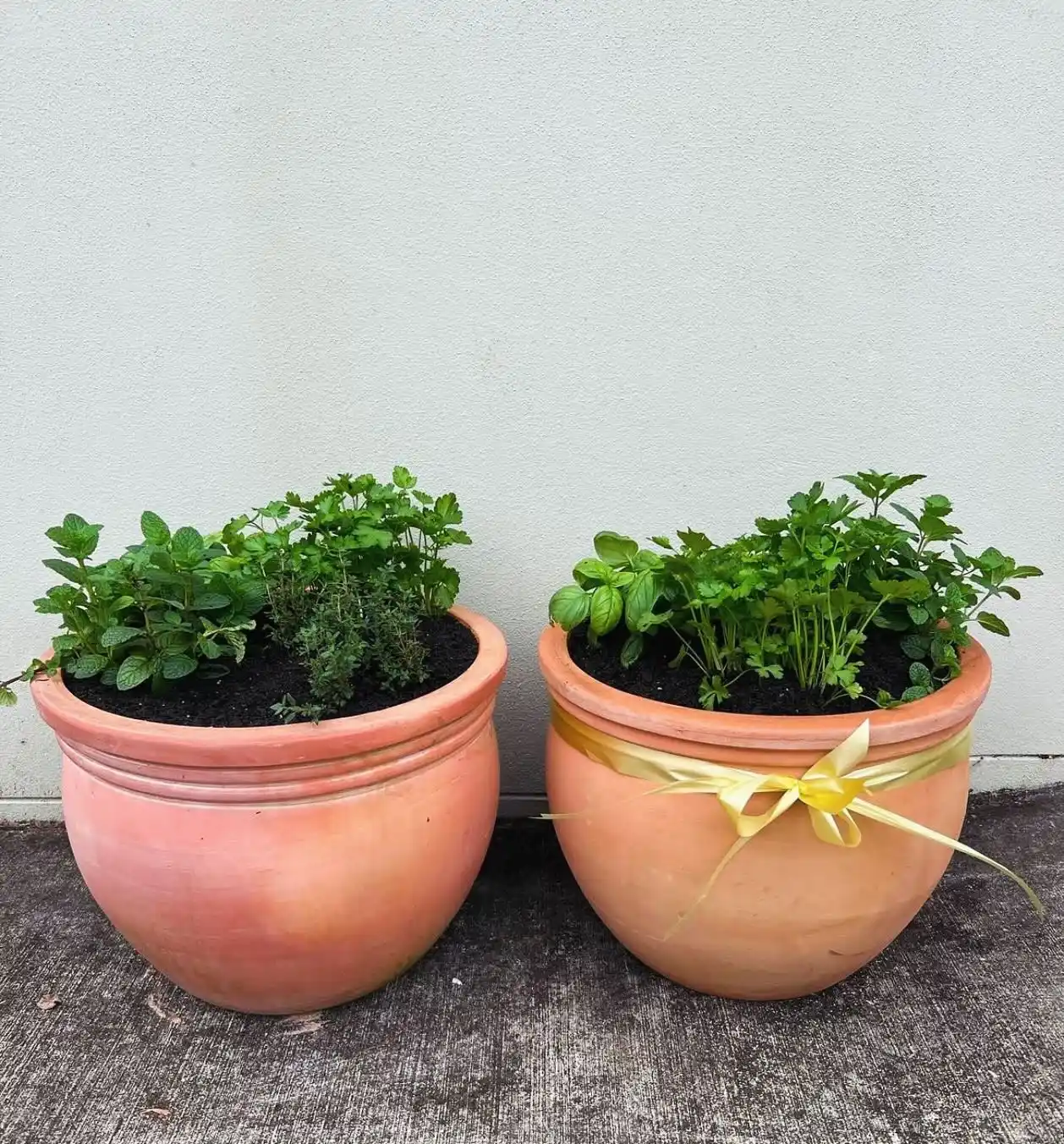 12 Simple Indoor Herb Garden DIY Kits and Hacks 12 terracotta herb garden