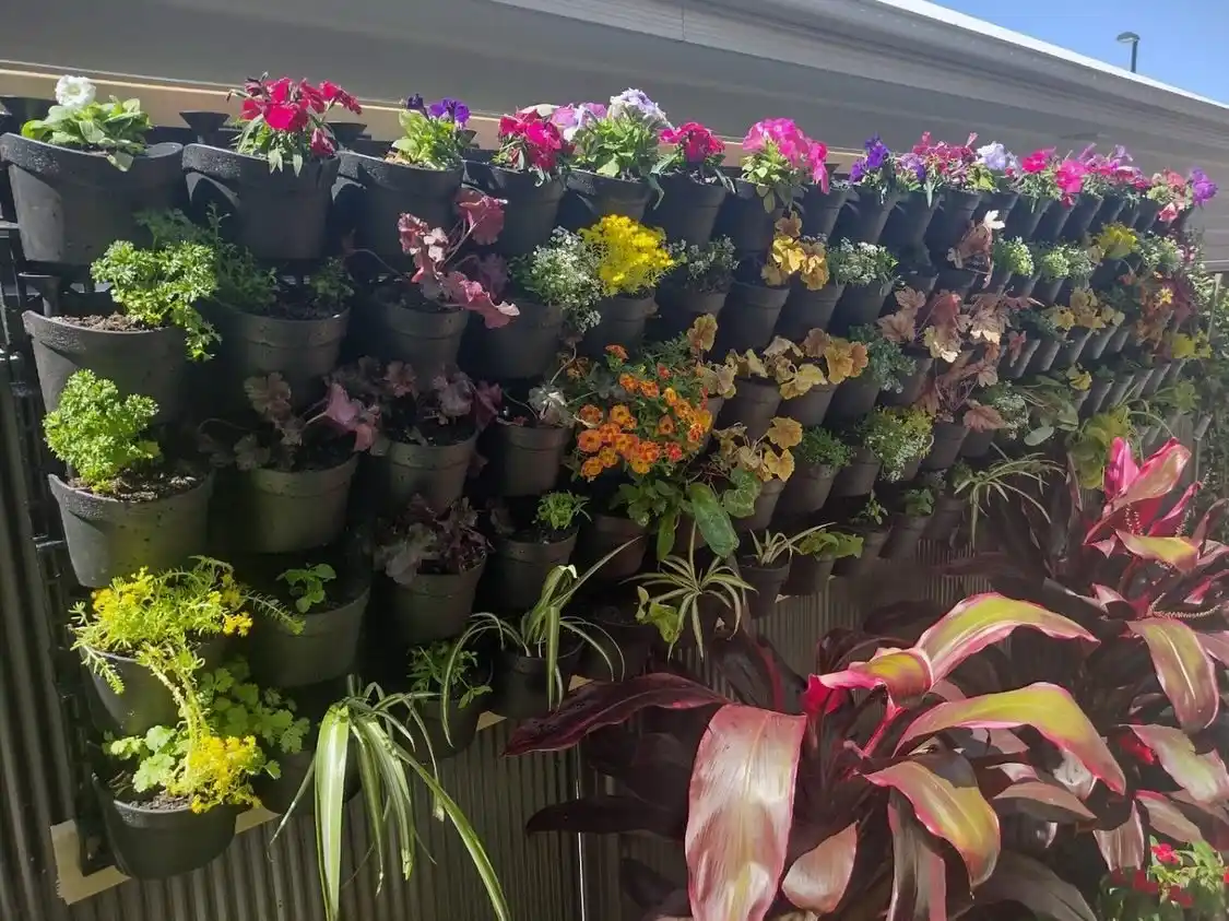 15 Vertical Wall Herb Arrangements for Small Spaces 2 vertical herb garden