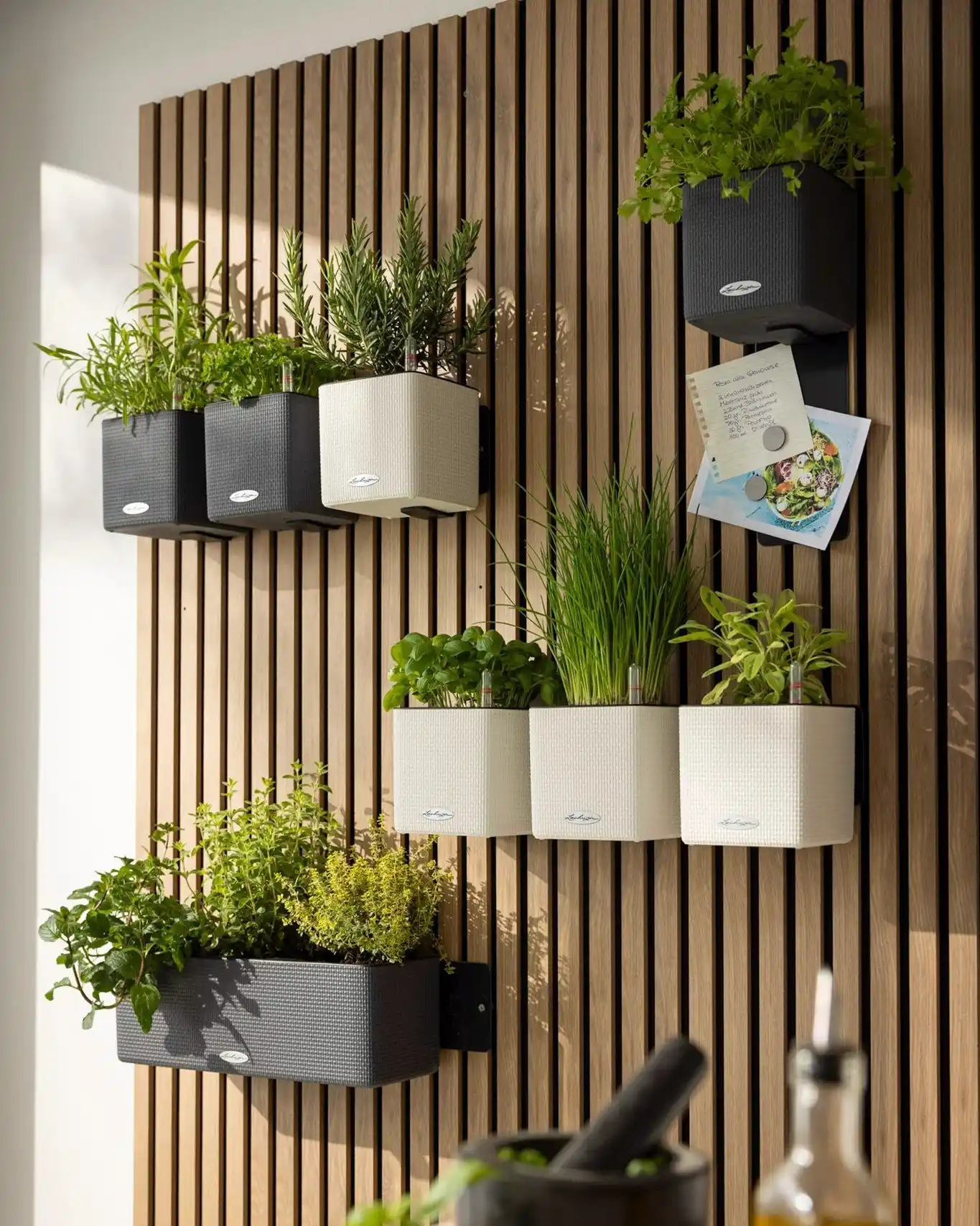 Transform Your Kitchen 15 Stunning Wall Herb Garden Ideas 6 wall herb garden