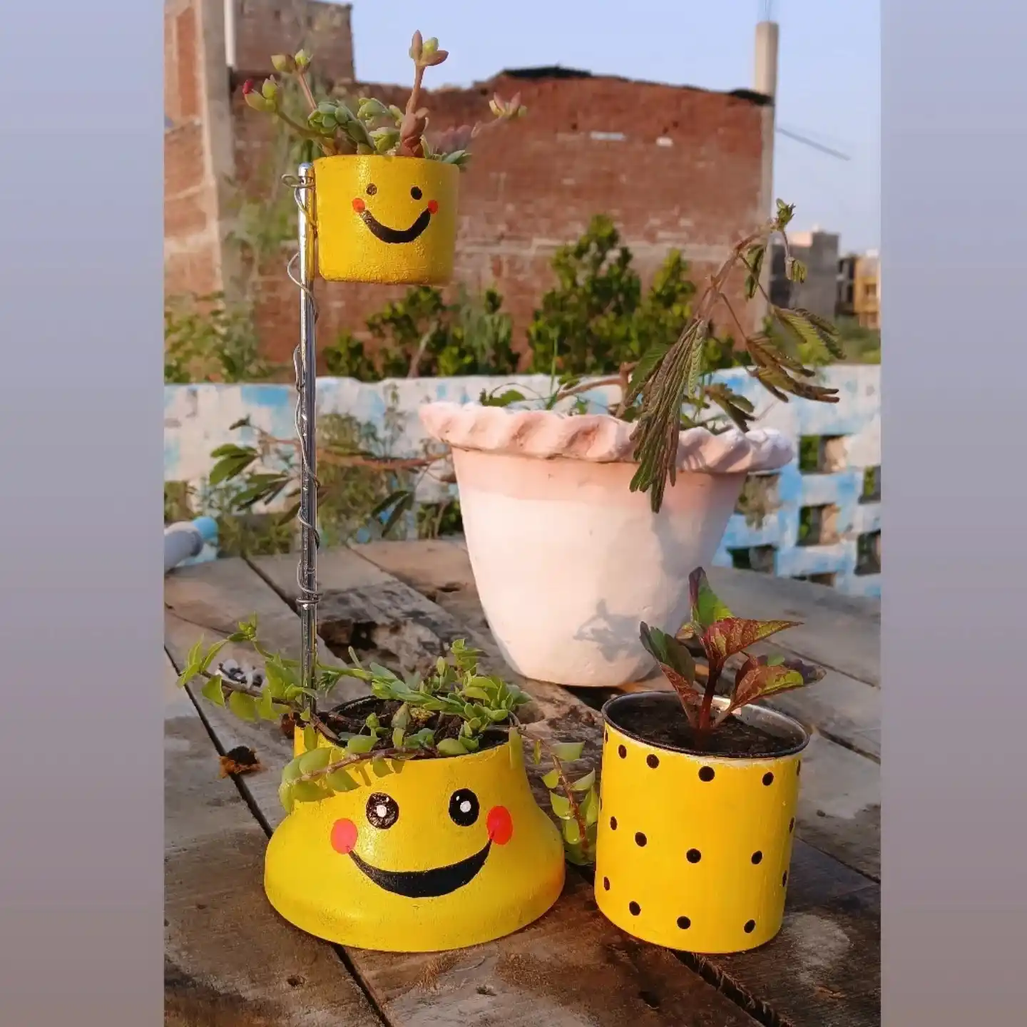12 Mistakes to Avoid with Your Indoor Herb Garden 11 wrong plant pot size